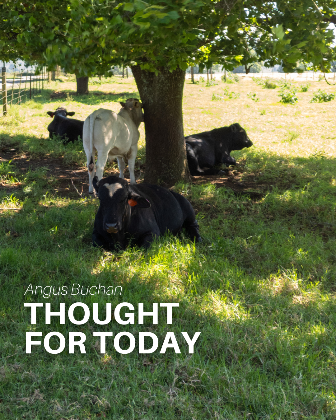 Nothing is Impossible