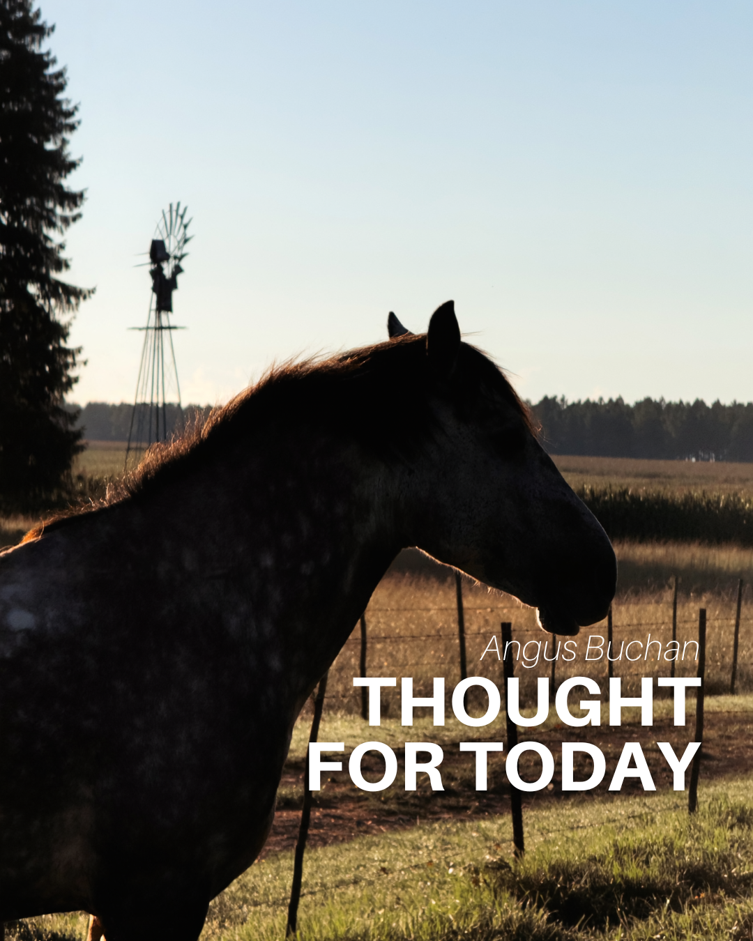 Go Into All the World