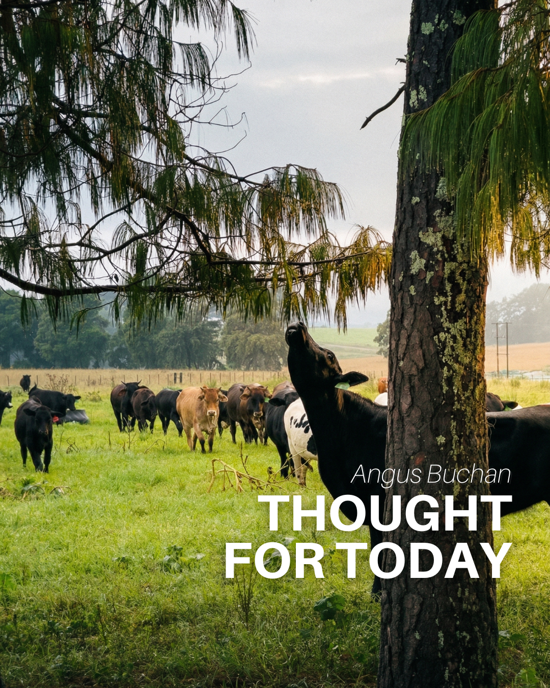 Zealous for the Lord