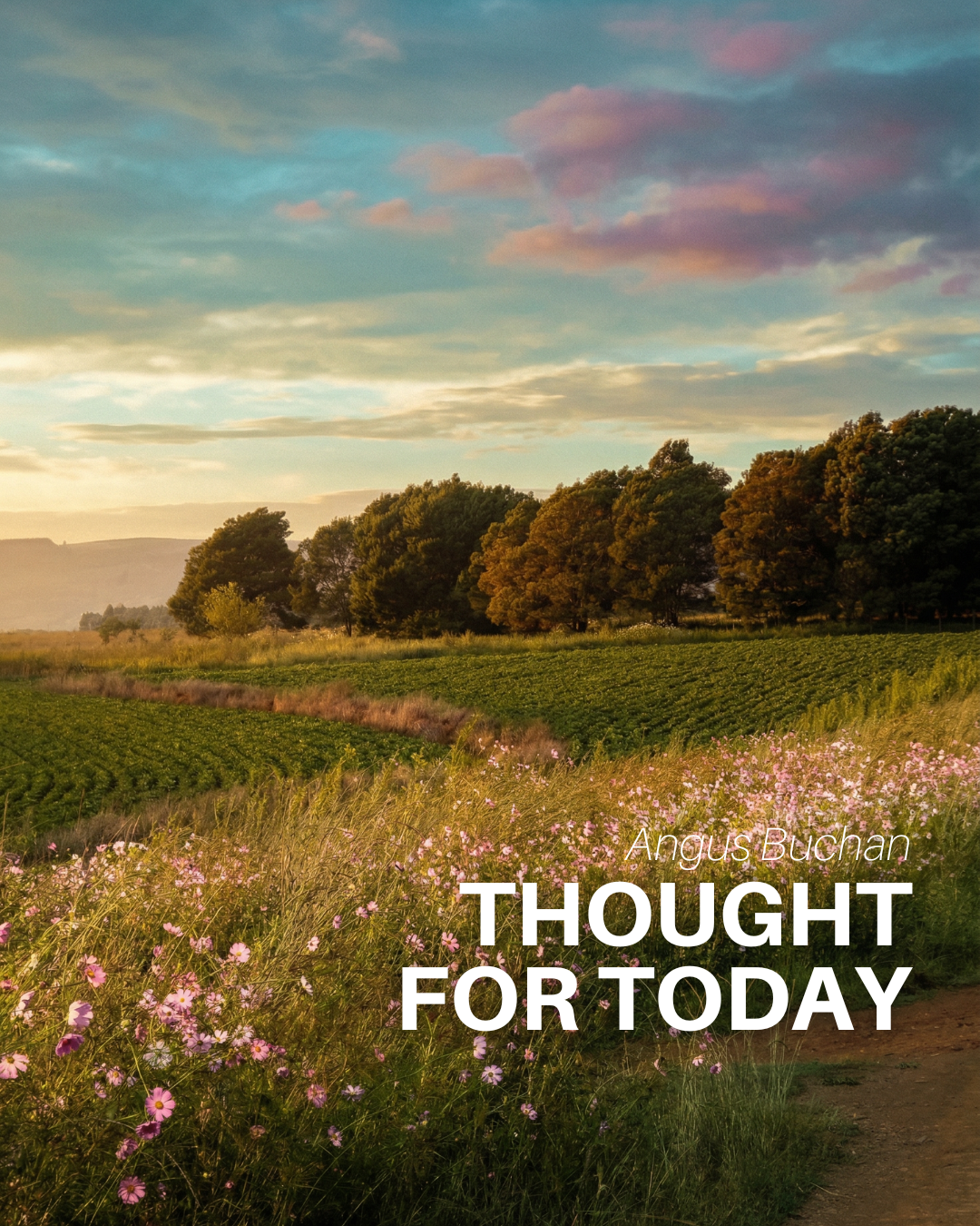 Trials and Tribulations