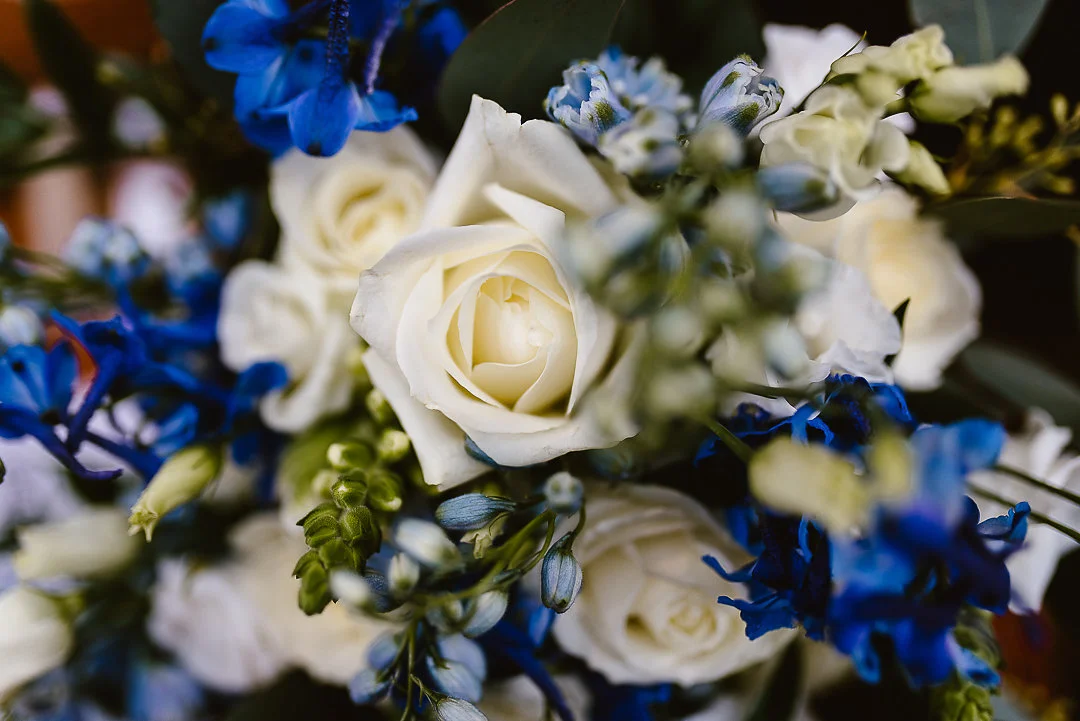 Image: Georgina Brewster Photography.