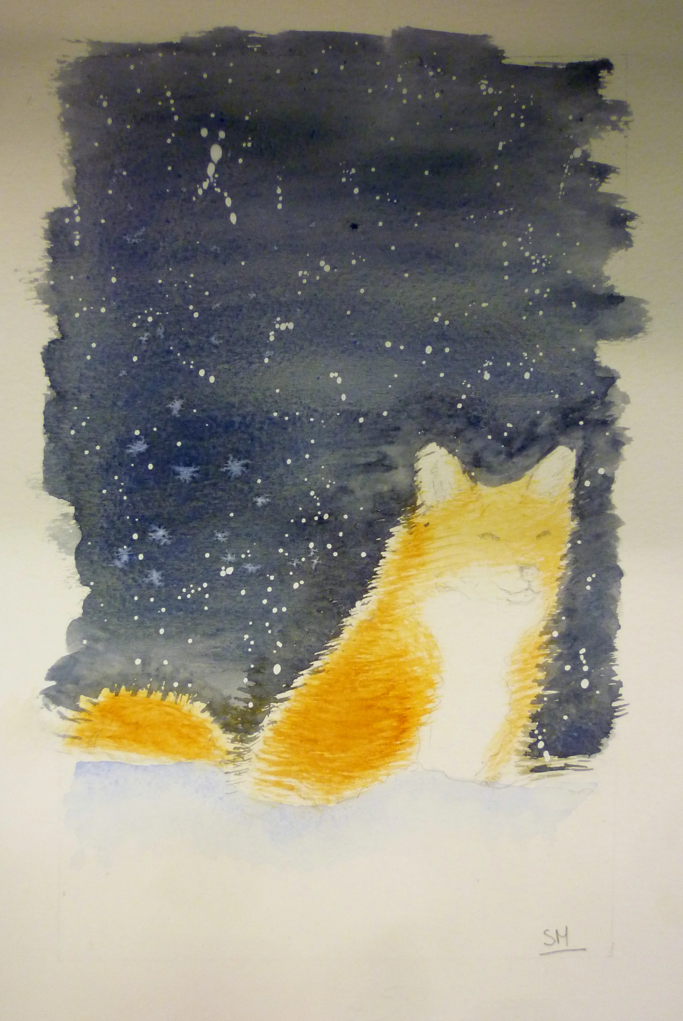 375.JPG