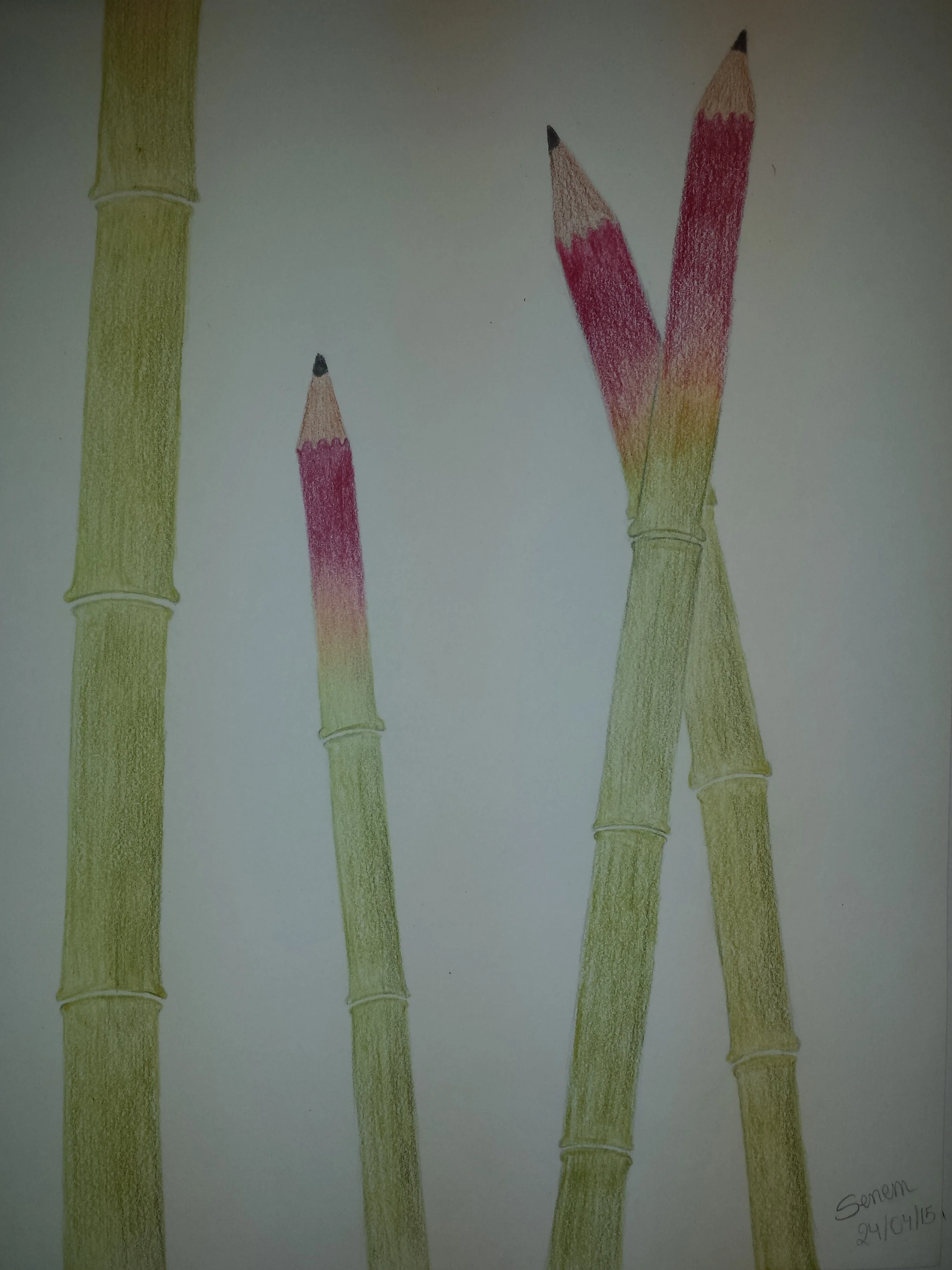 20150424_181521.jpg