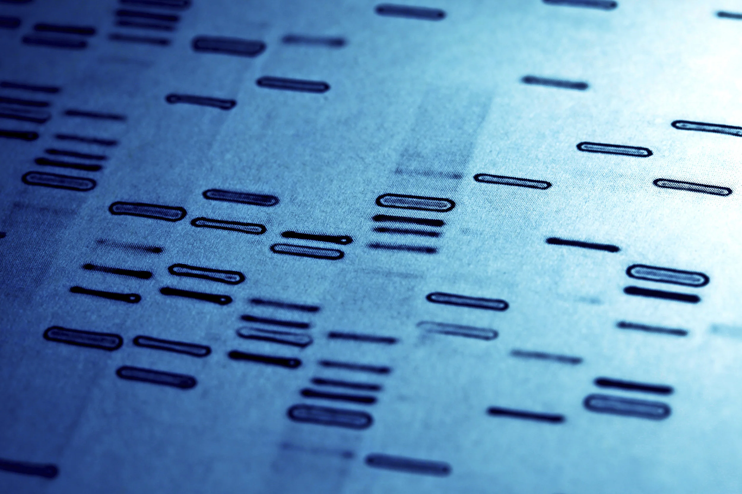 DNA.jpg