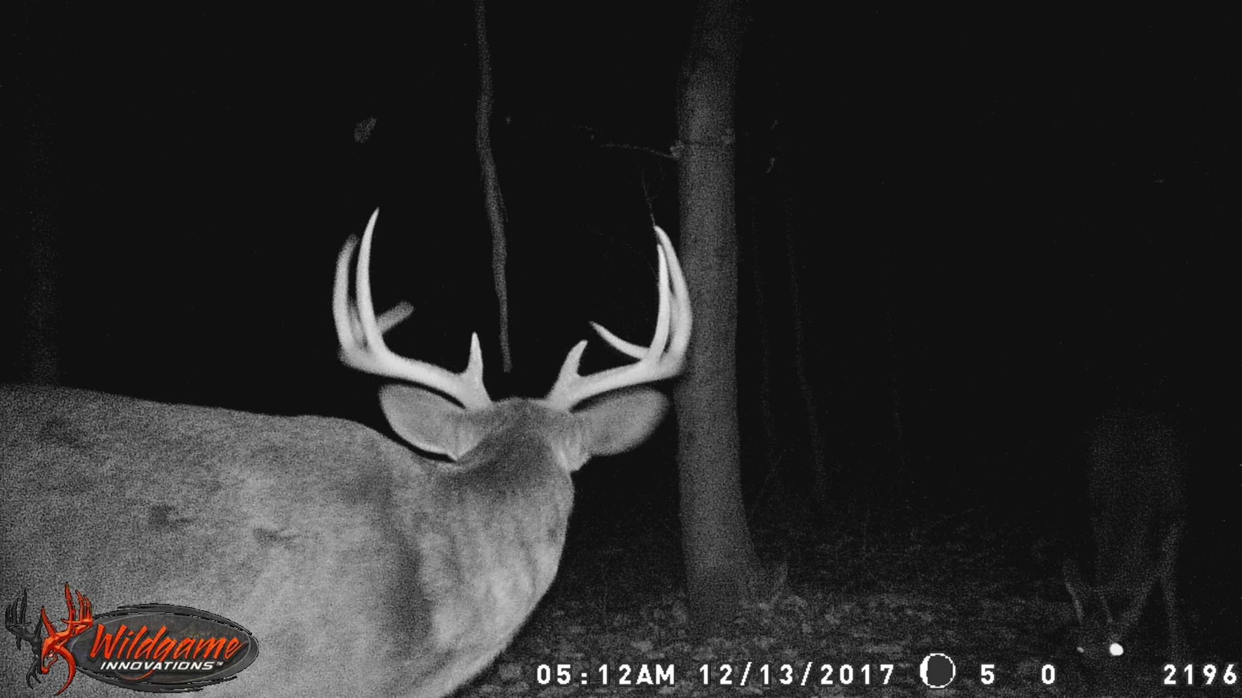 PAPPYDON STAND 2017 521.JPG