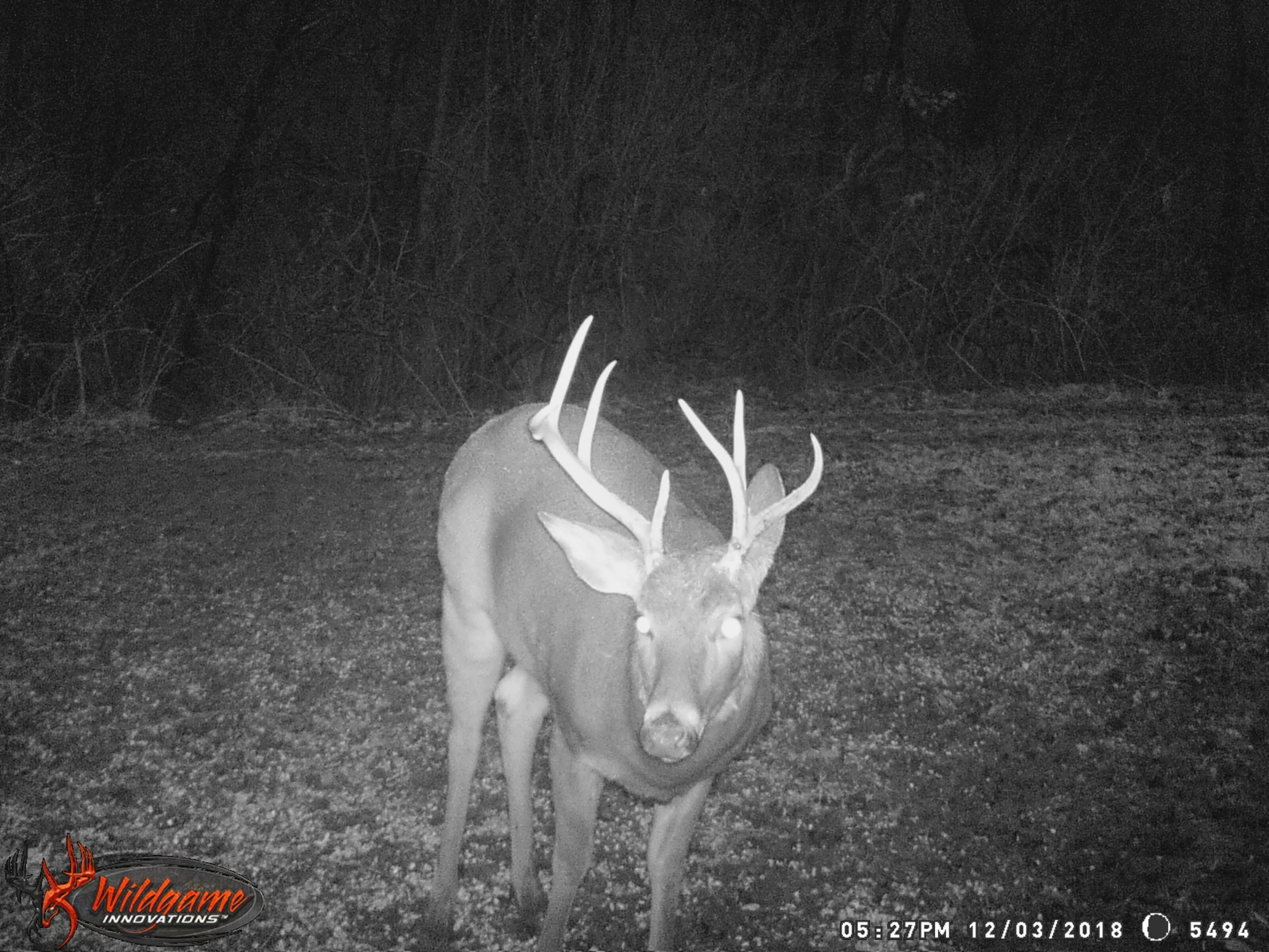 BORDER PATROL STAND 2018-19 141.JPG