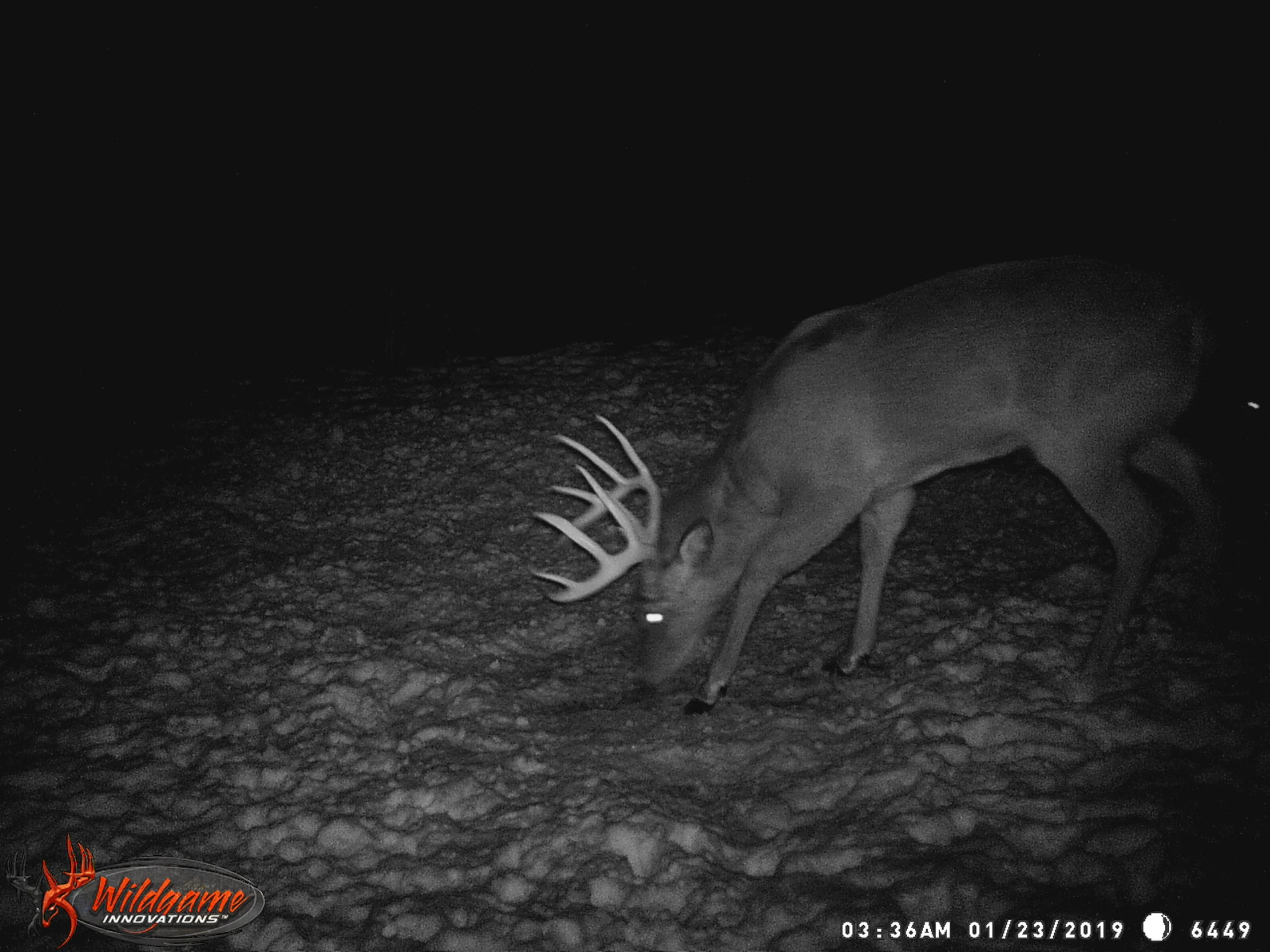 BORDER PATROL STAND 2018-19 158.JPG