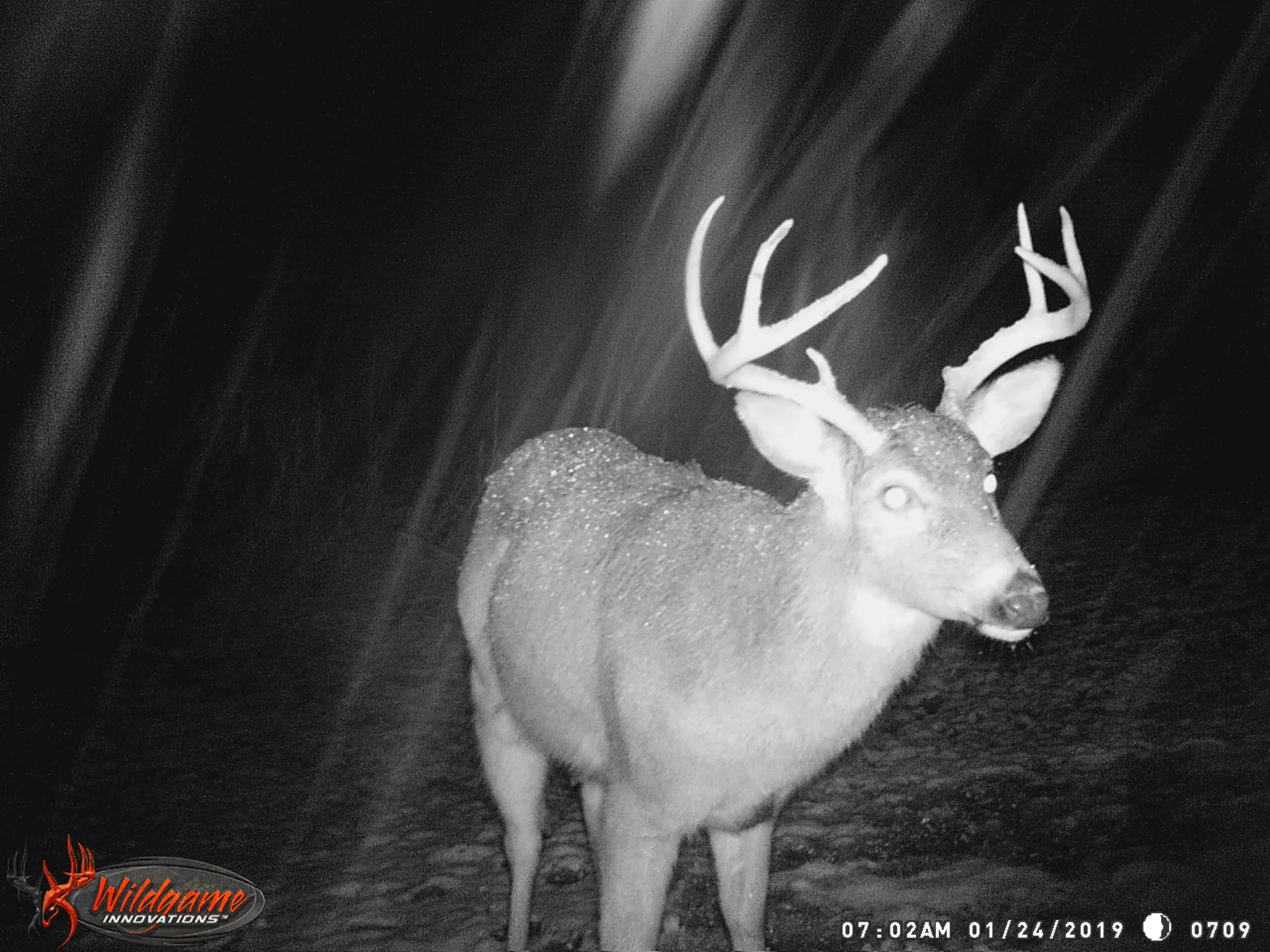 CADDY SHACK STAND 2018-19 880.JPG