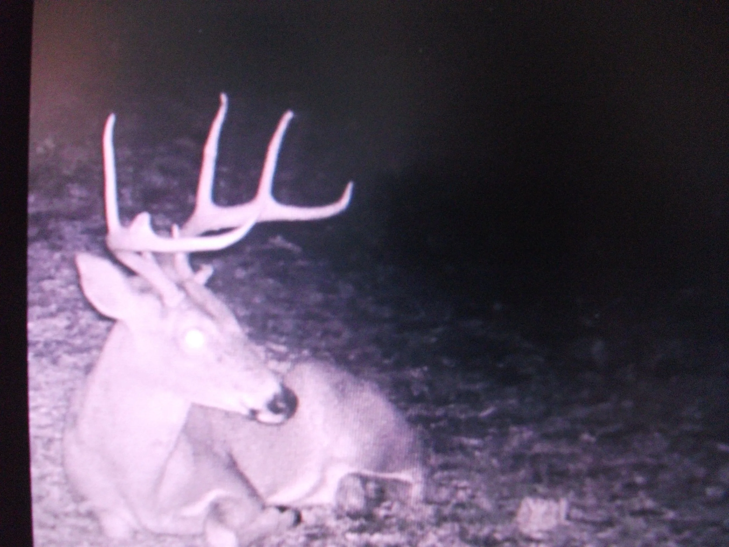 DIGITAL PICS FEBRUARY 2022 022.JPG