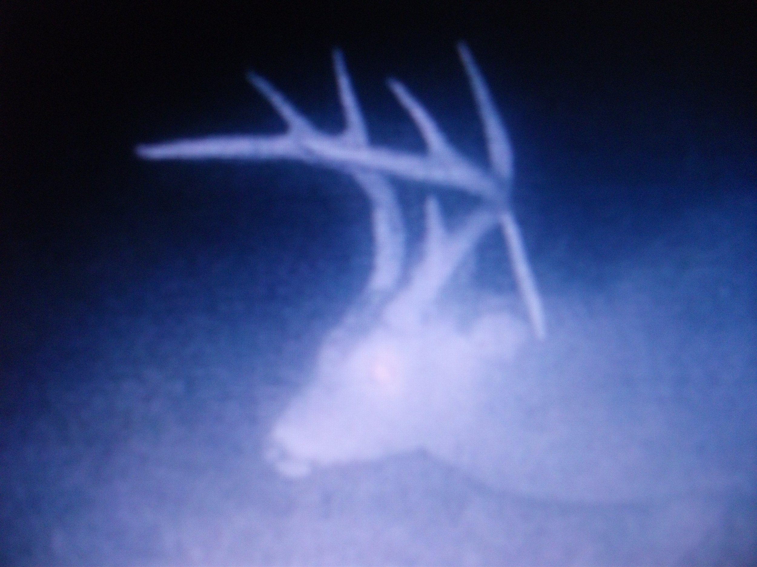 DIGITAL PICS FEBRUARY 2022 015.JPG