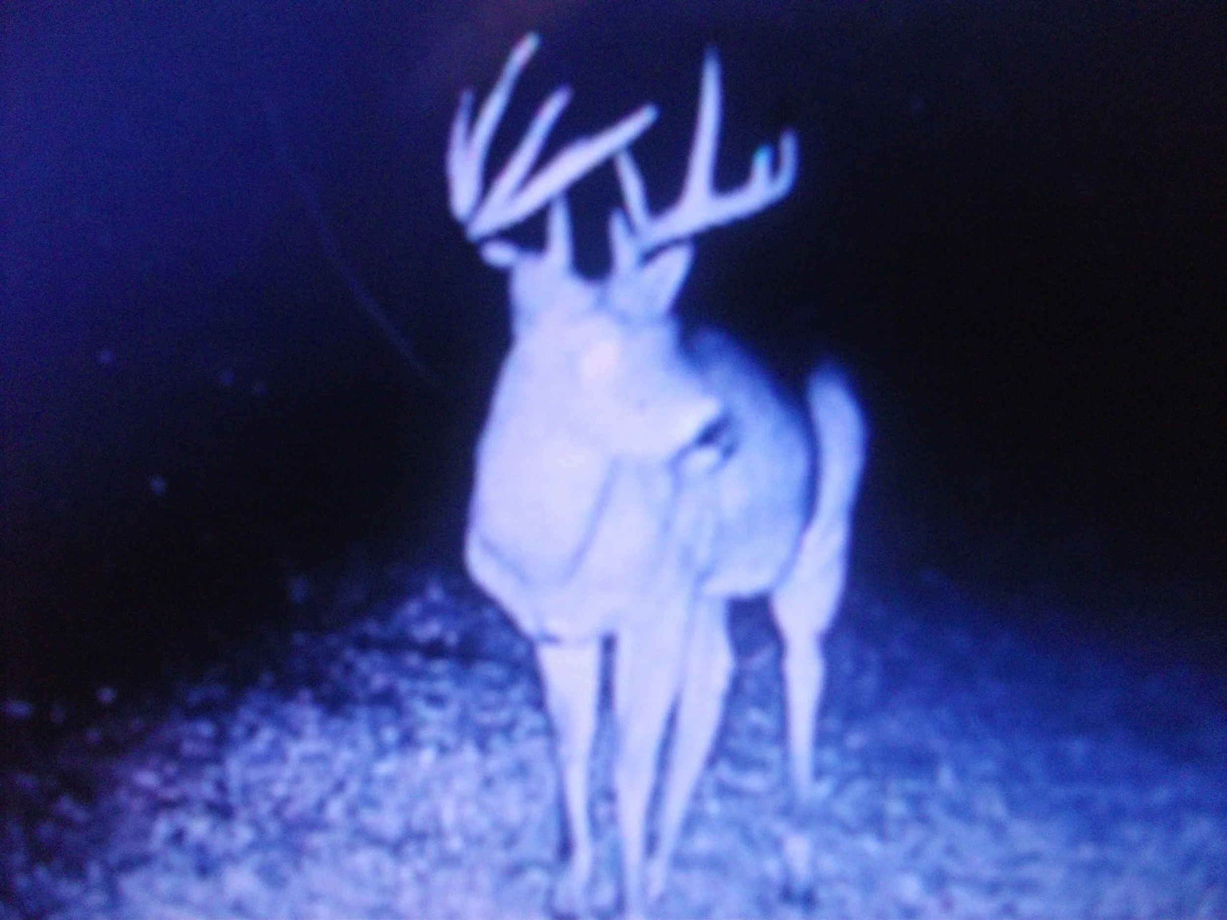 DIGITAL PICS FEBRUARY 2022 010.JPG