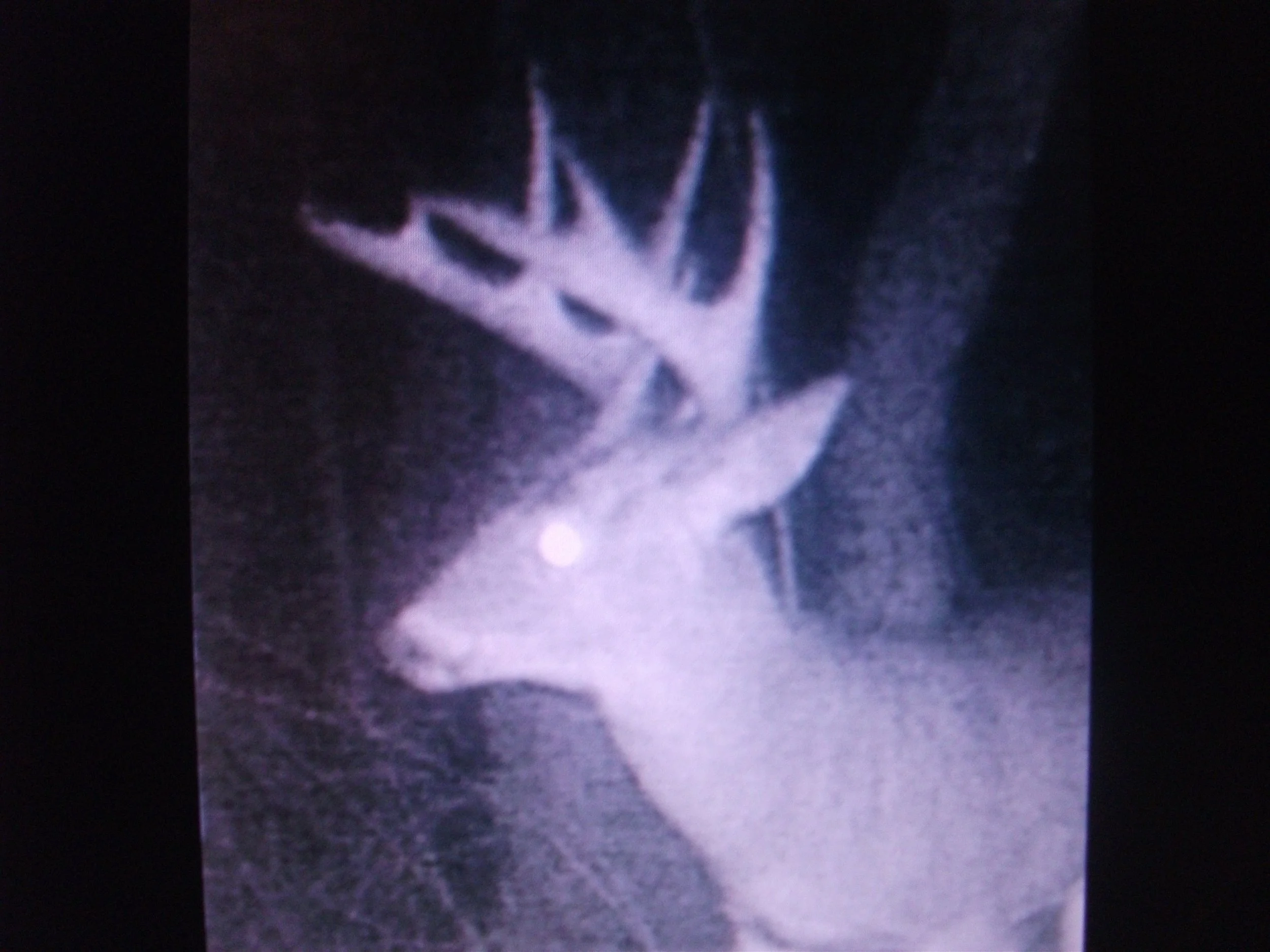 DIGITAL PICS FEBRUARY 2022 005.JPG