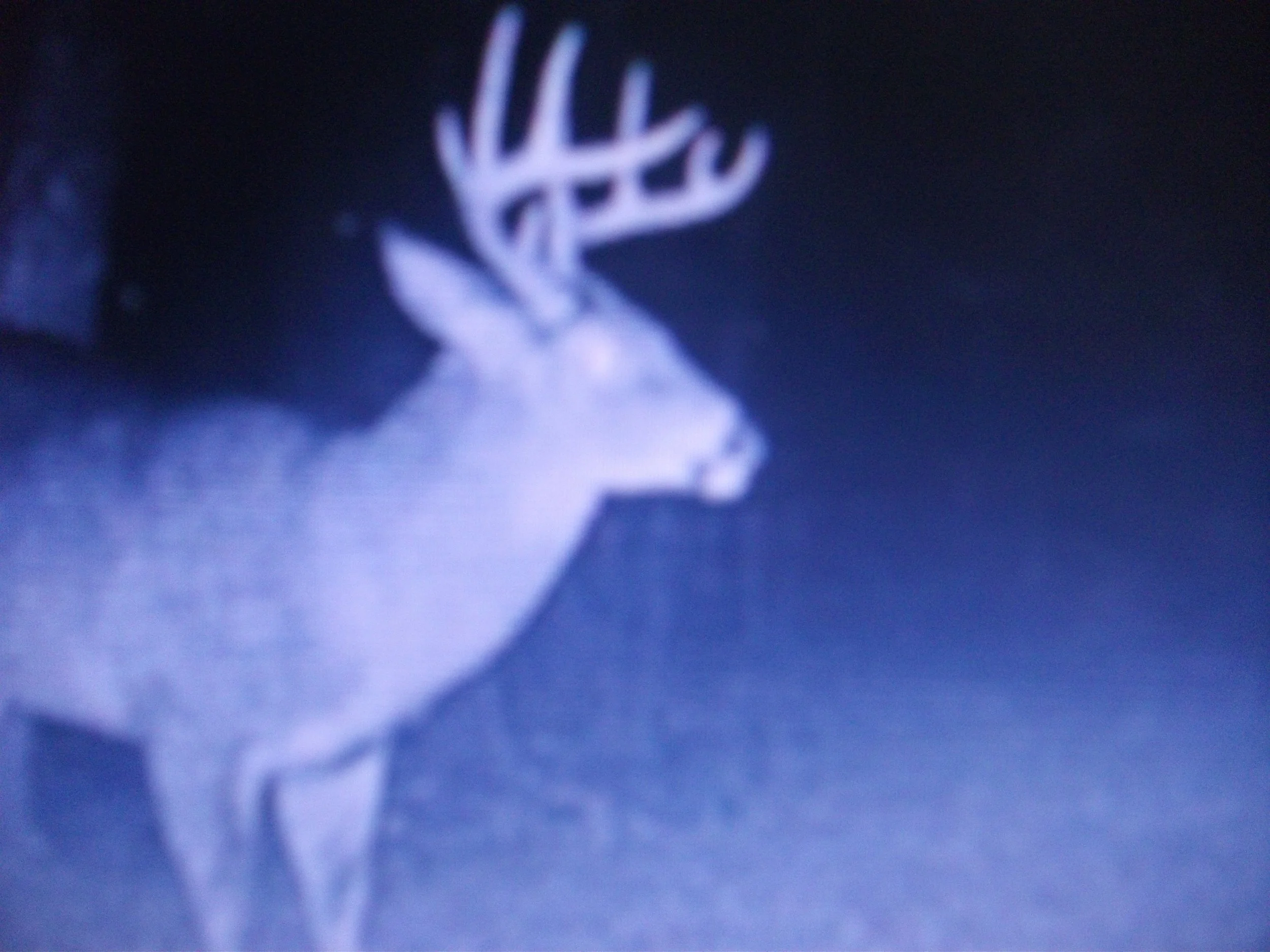 DIGITAL PICS FEBRUARY 2022 013.JPG