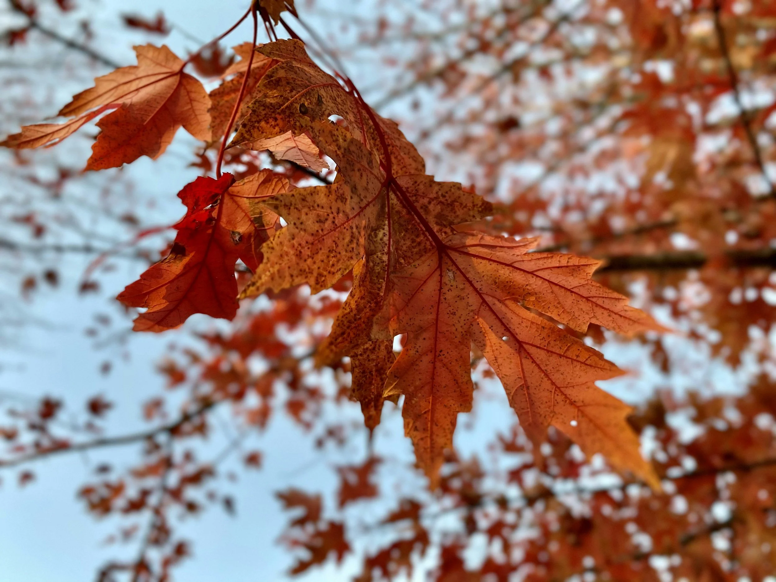 unsplash-image-bLkwhc0tBIc.jpg
