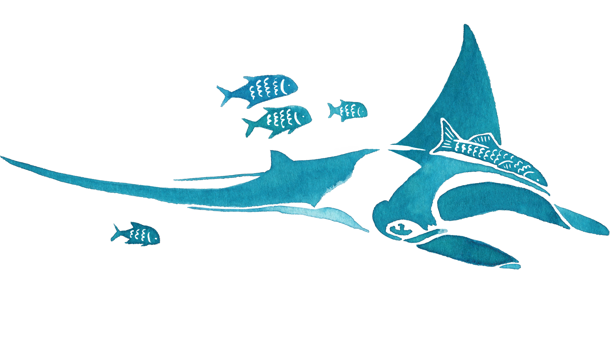 TEEmanta.png