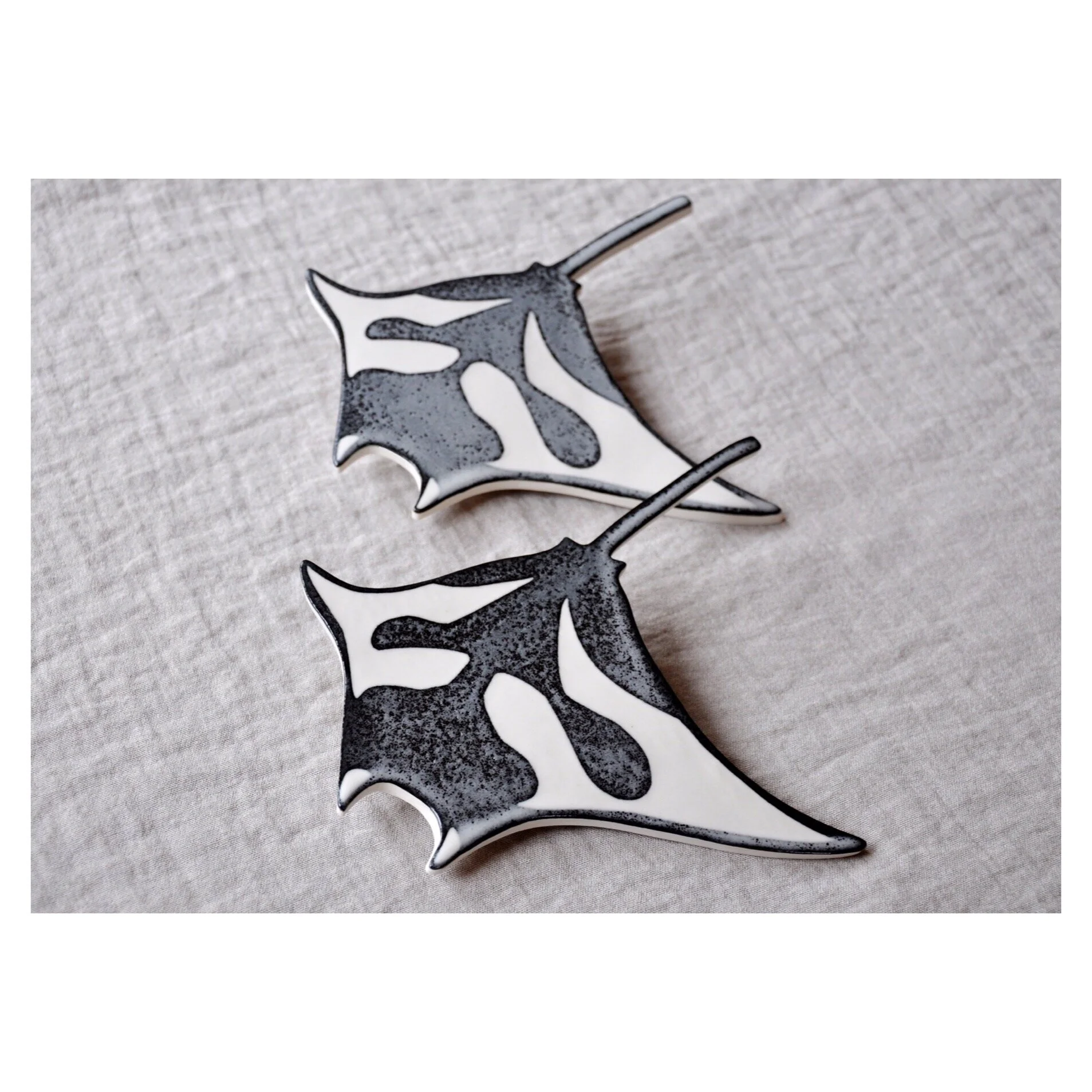 tempImageForSave 2.JPG