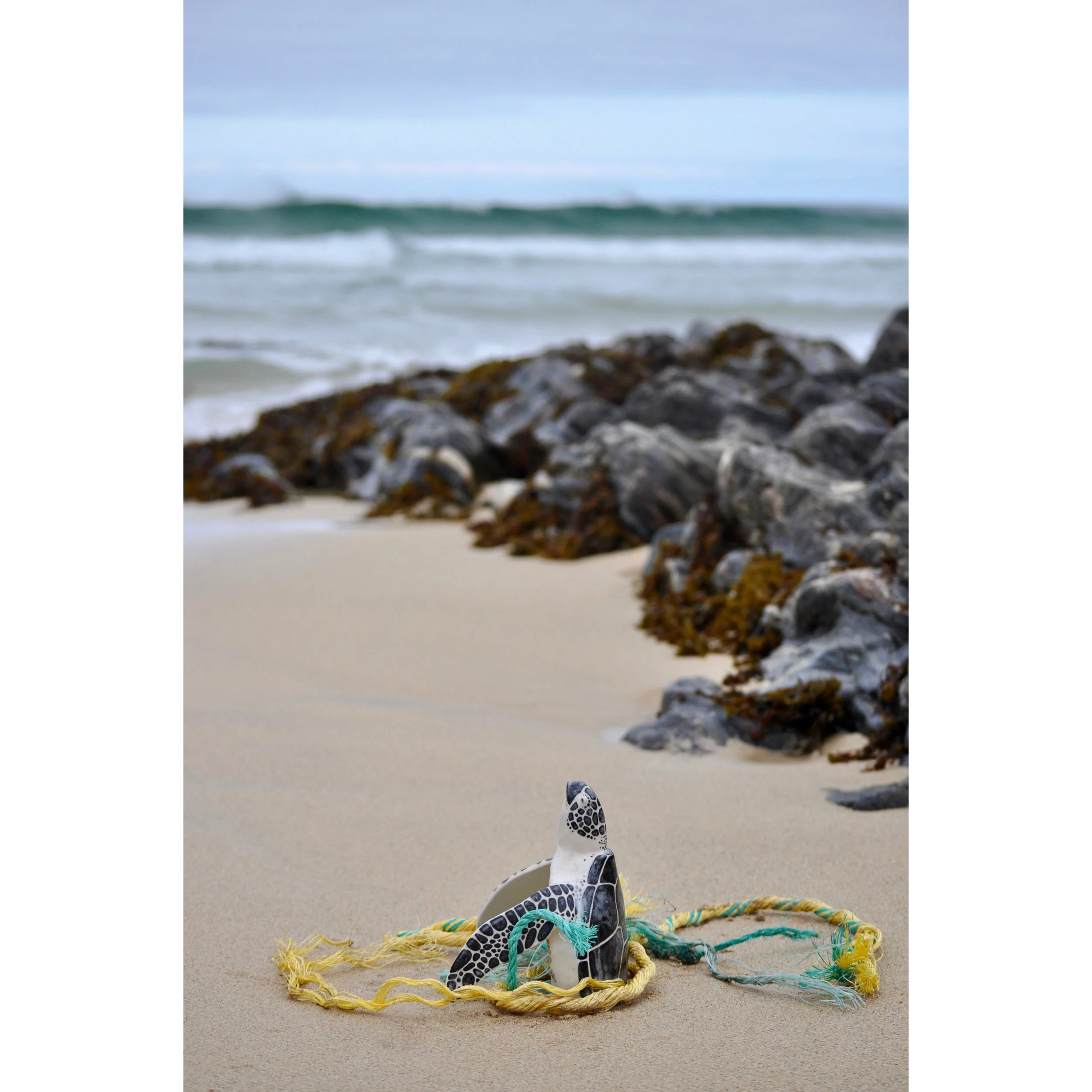 Whitagram-Image 2.JPG