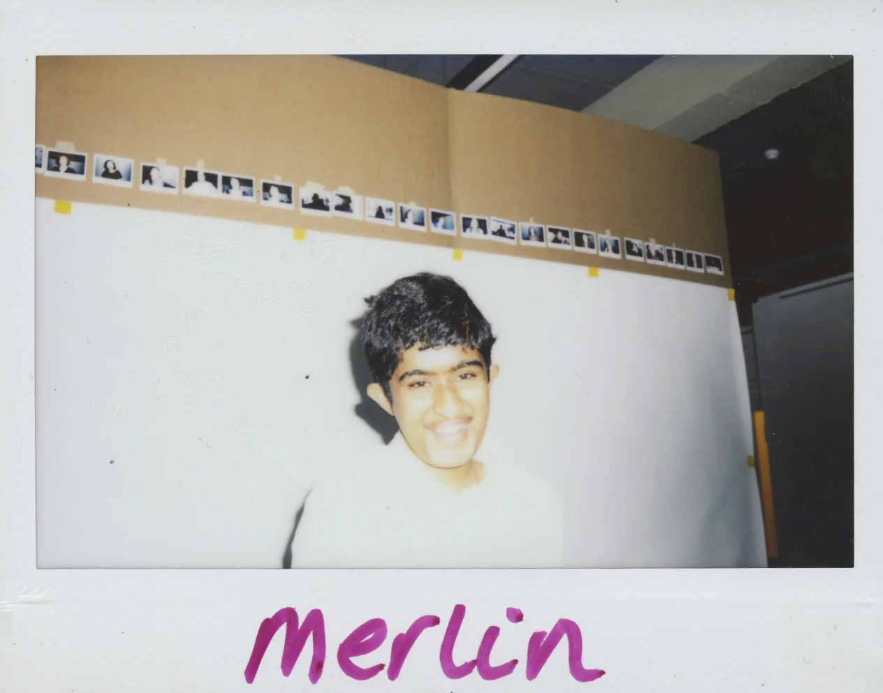 MERLIN_PWE-RS.jpg
