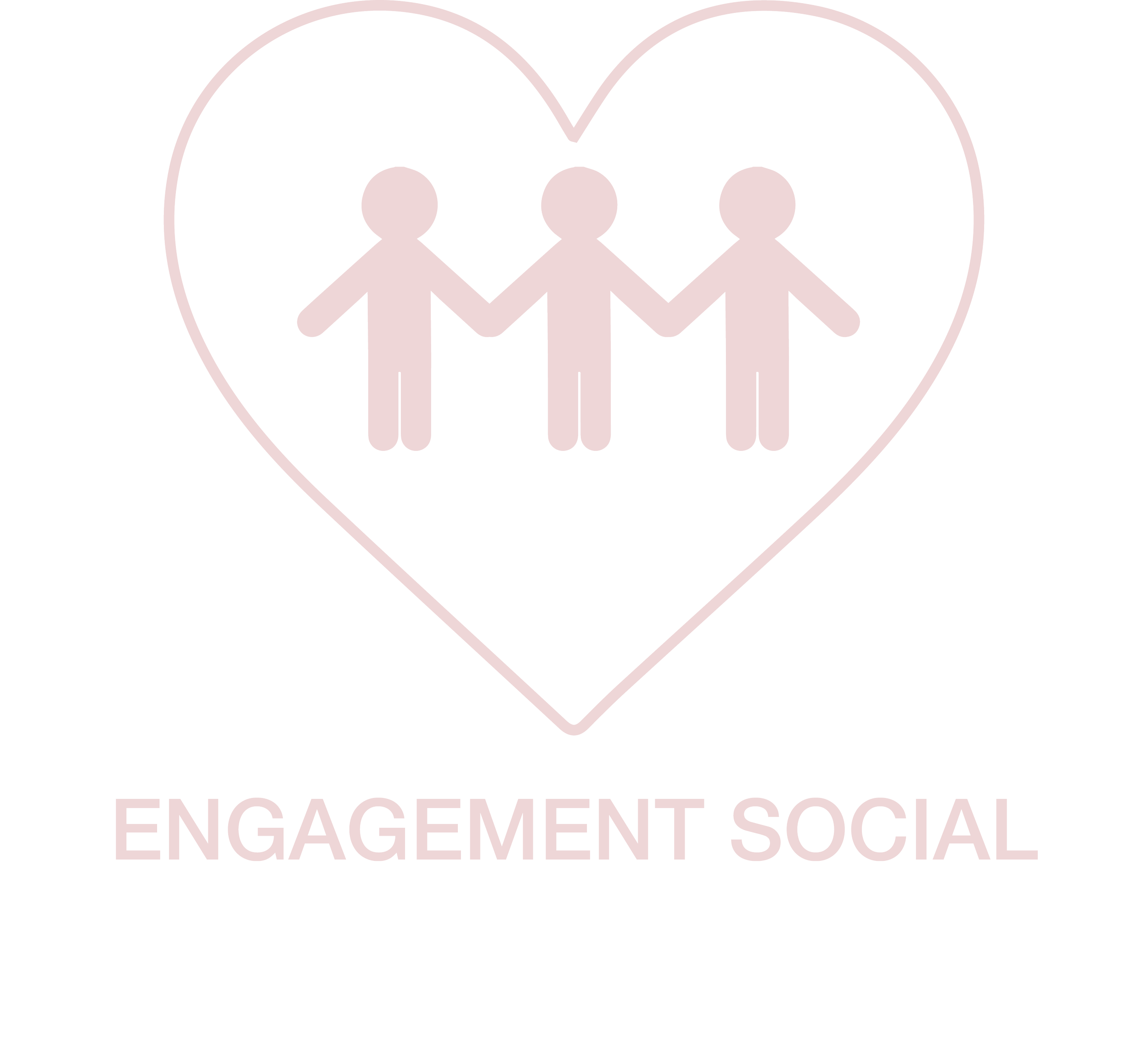 engagement social.png
