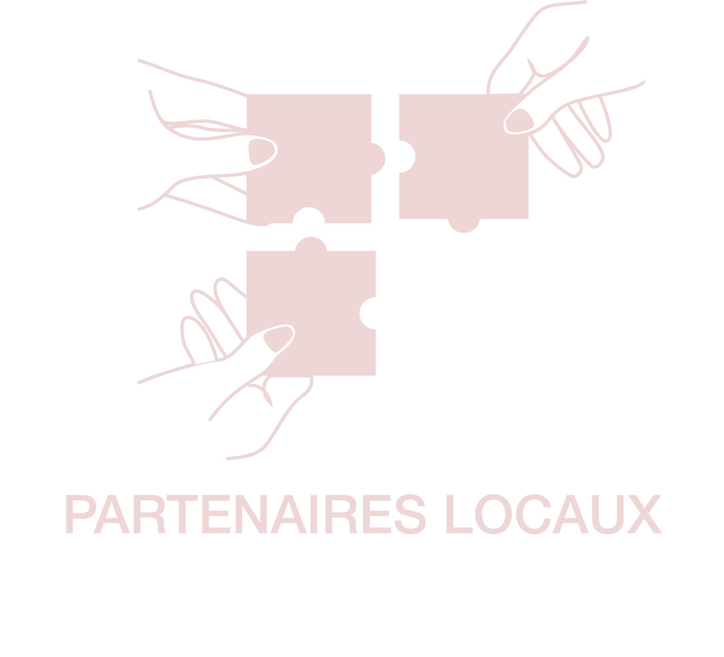 Partenaires locaux.png