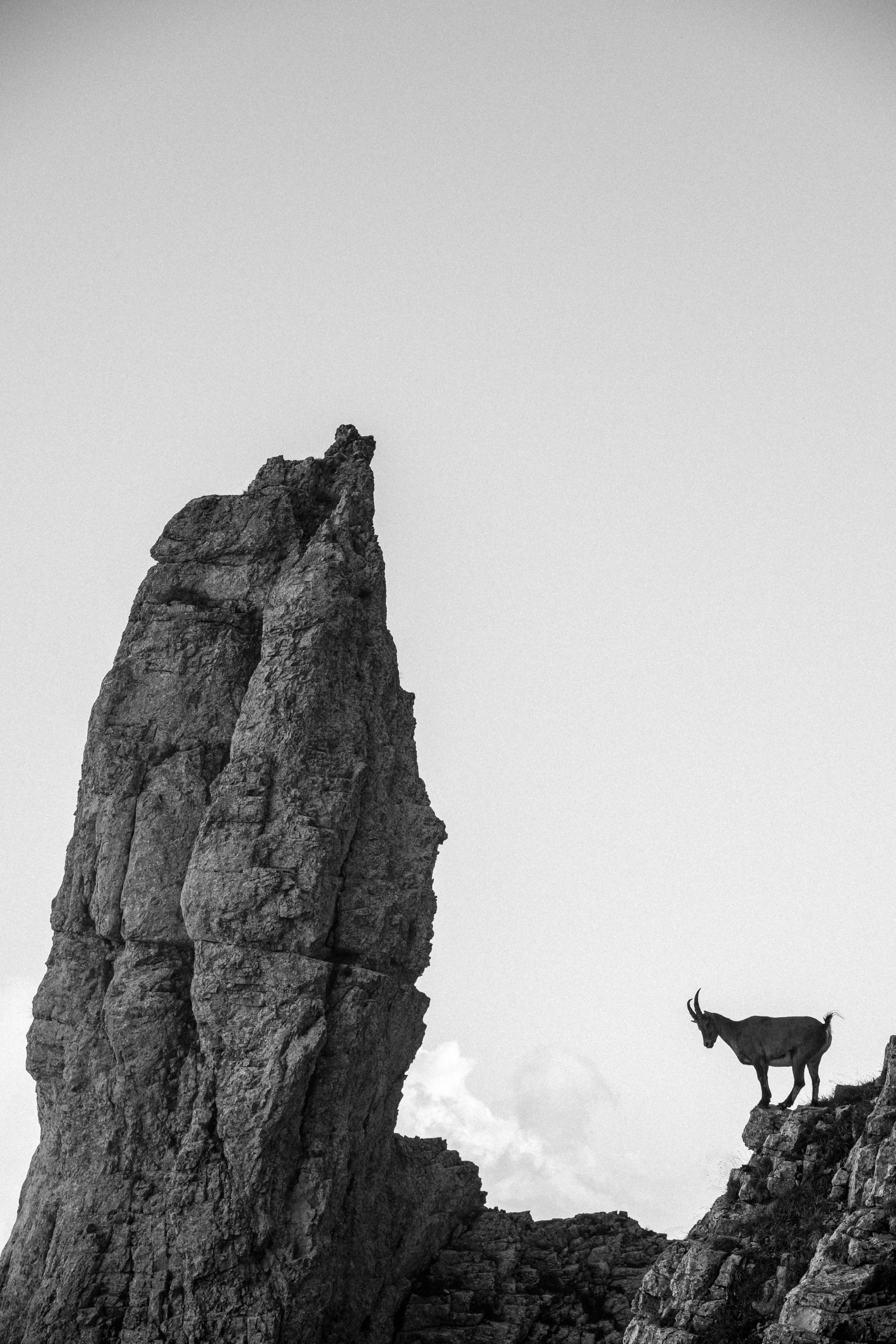_DSC6831.jpg