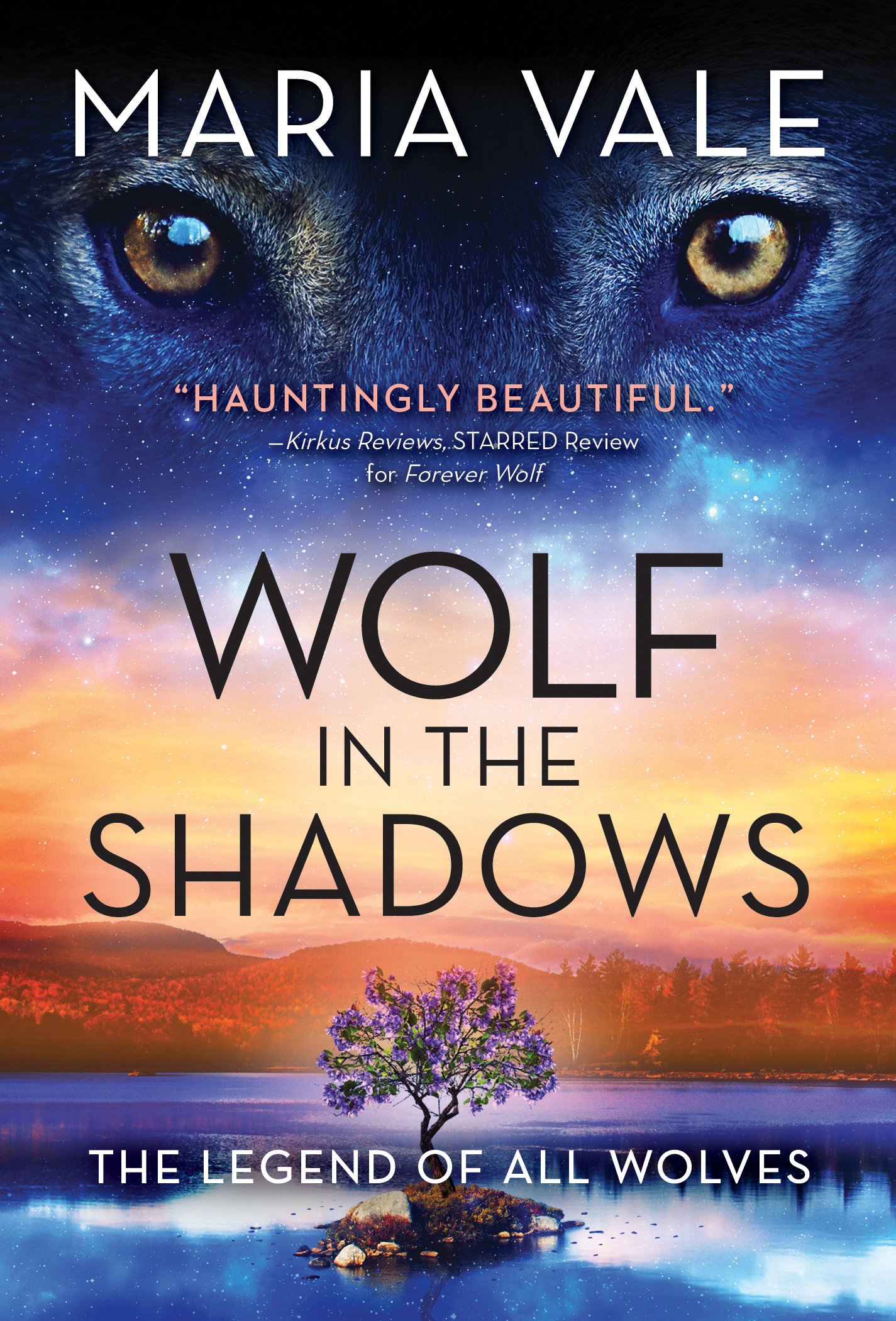 Wolf in the Shadows final approved cover.jpg
