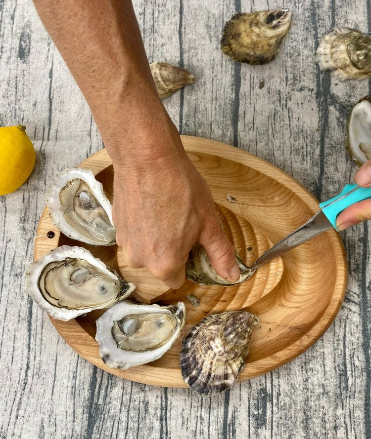 Oyster Shucking Knife - Shuck Maine Oysters