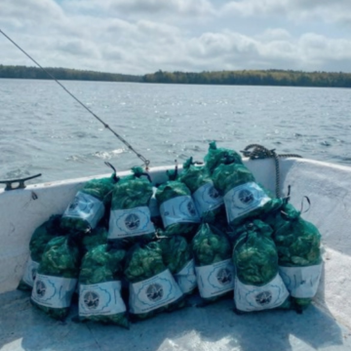 Thanksgiving oysters are calling! 🦪 We&rsquo;re open today and tomorrow, so stop by and stock up. Check out these epic deals:
	&bull;	50 oysters for $65
	&bull;	100 oysters for $125 (wholesale steal!)
	&bull;	Buy 3 dozen or more and score a free mig