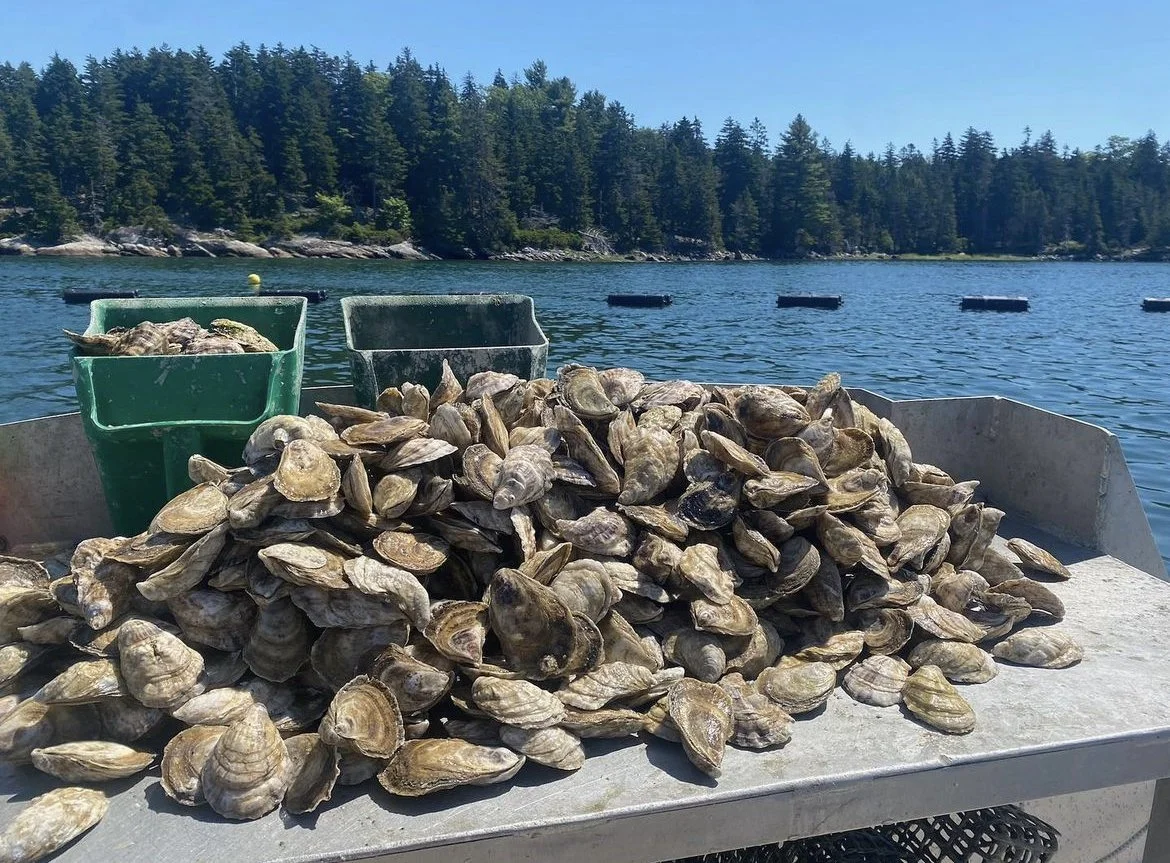 Bar Harbor Oyster Co.