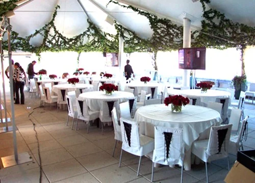 Tablecloths & Chair Slipcovers