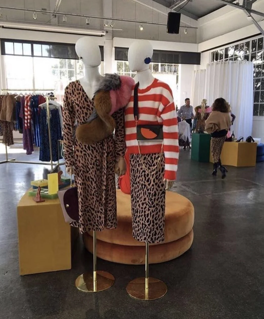 DVFpopupSF.jpeg