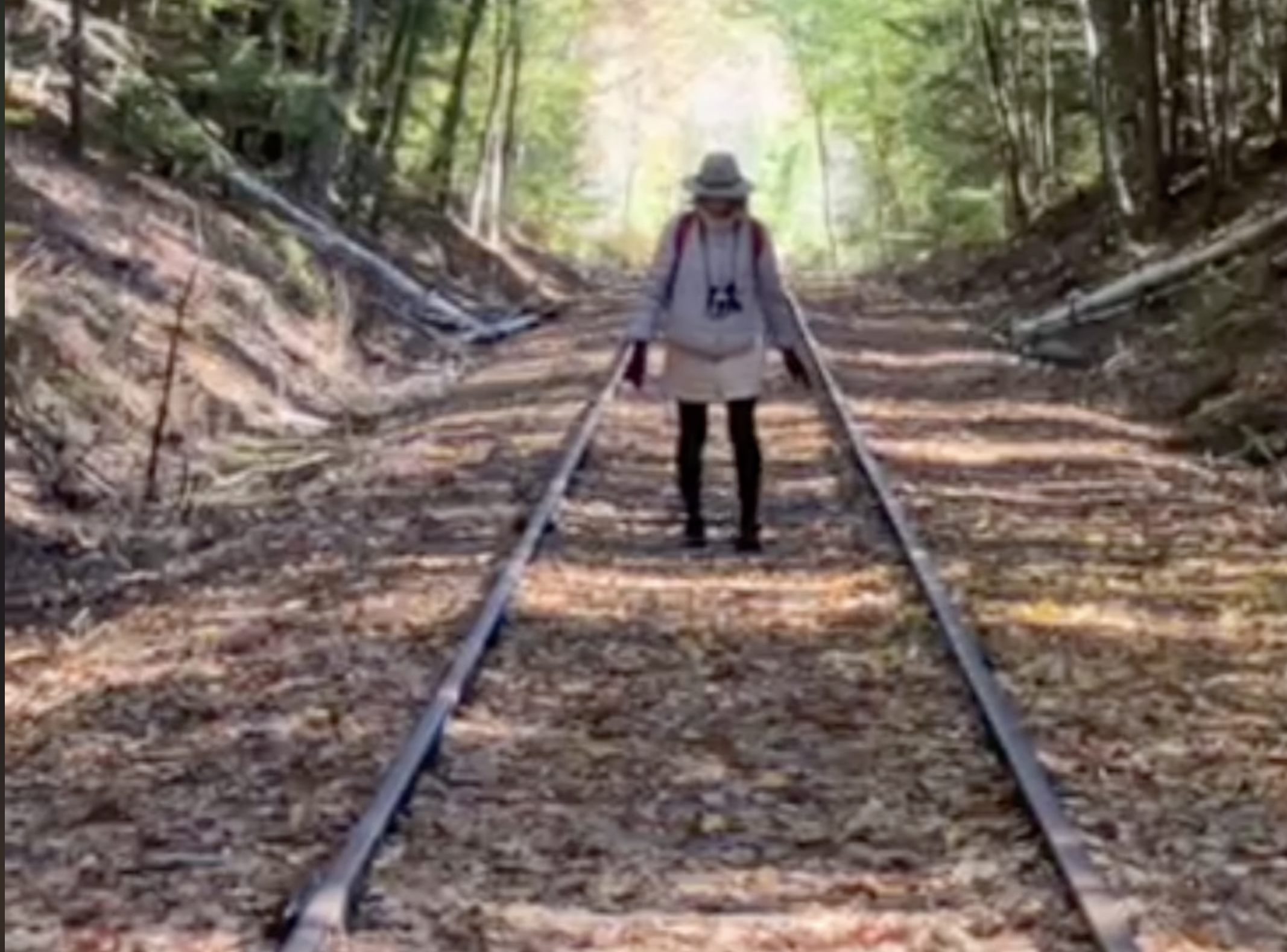 Screenshot 2025-11-12 at 2.37.26 PM.png