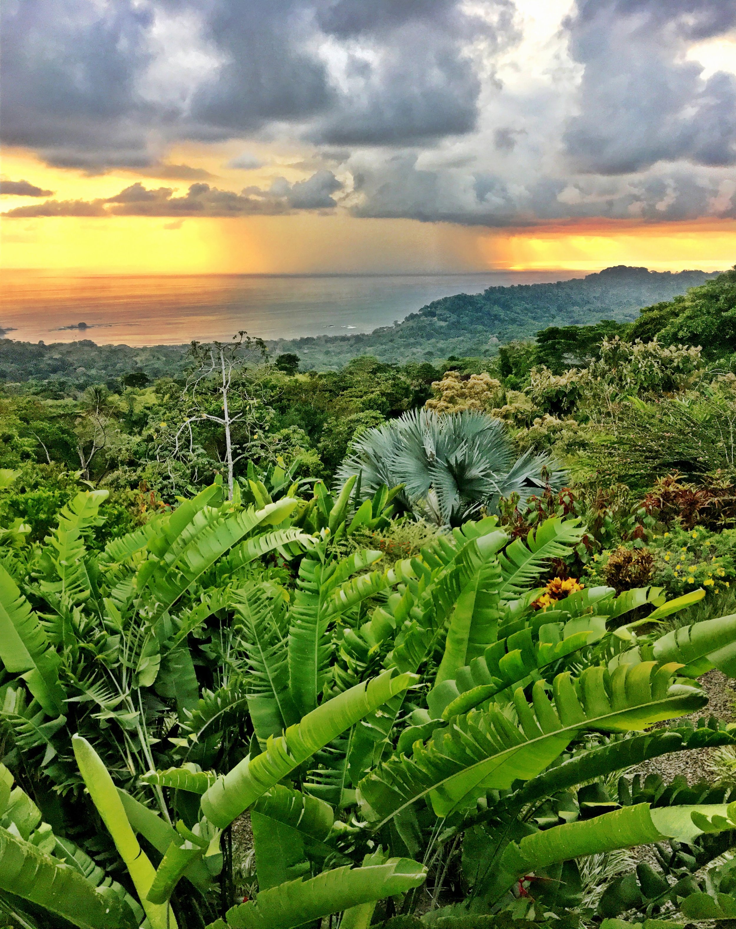 The Dreamcatchers Adventure Travel in Costa Rica