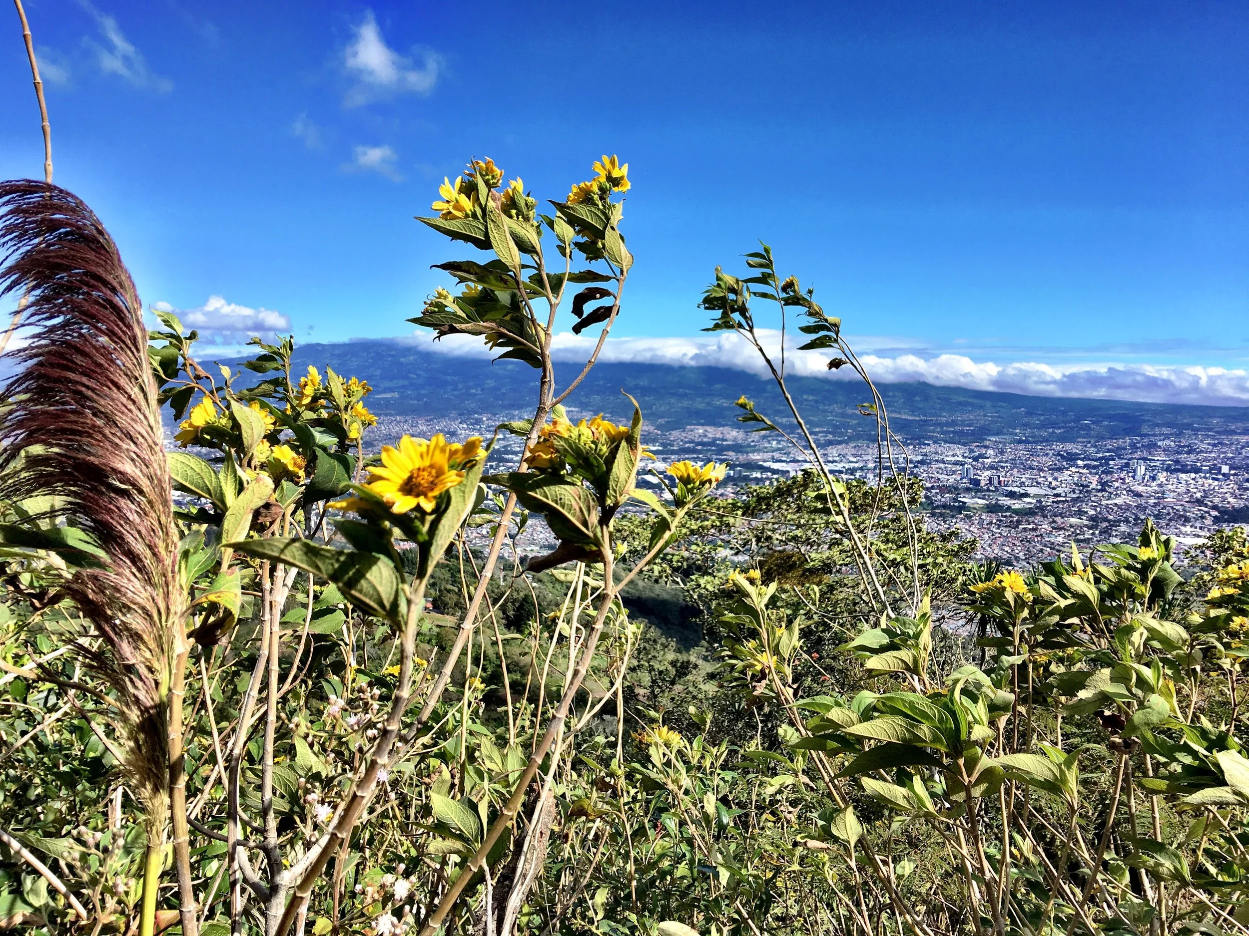 The view from one of my favorite hikes around San Jose.
