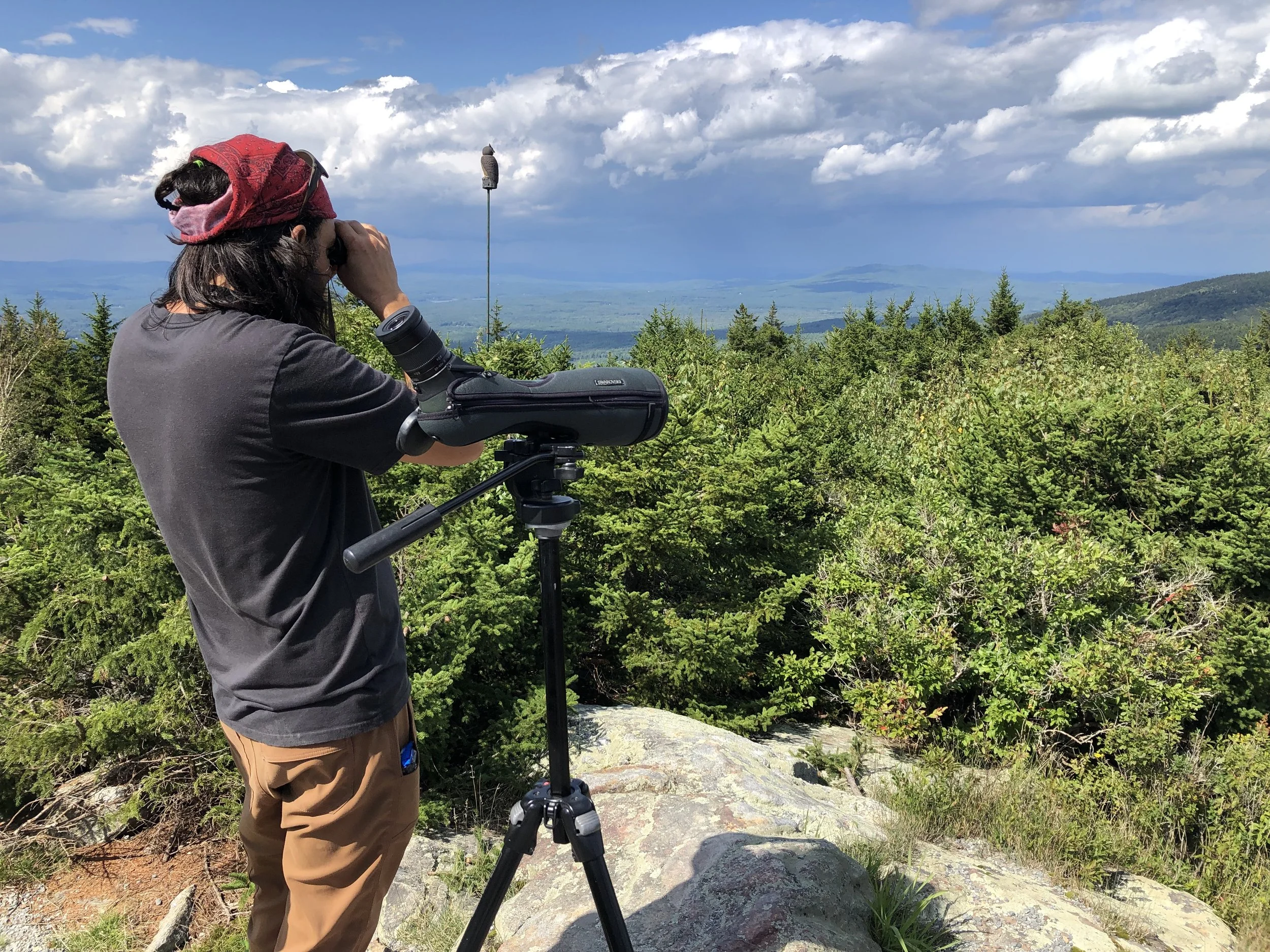 ANOTHER TITLE (Copy) (Copy) (Copy)