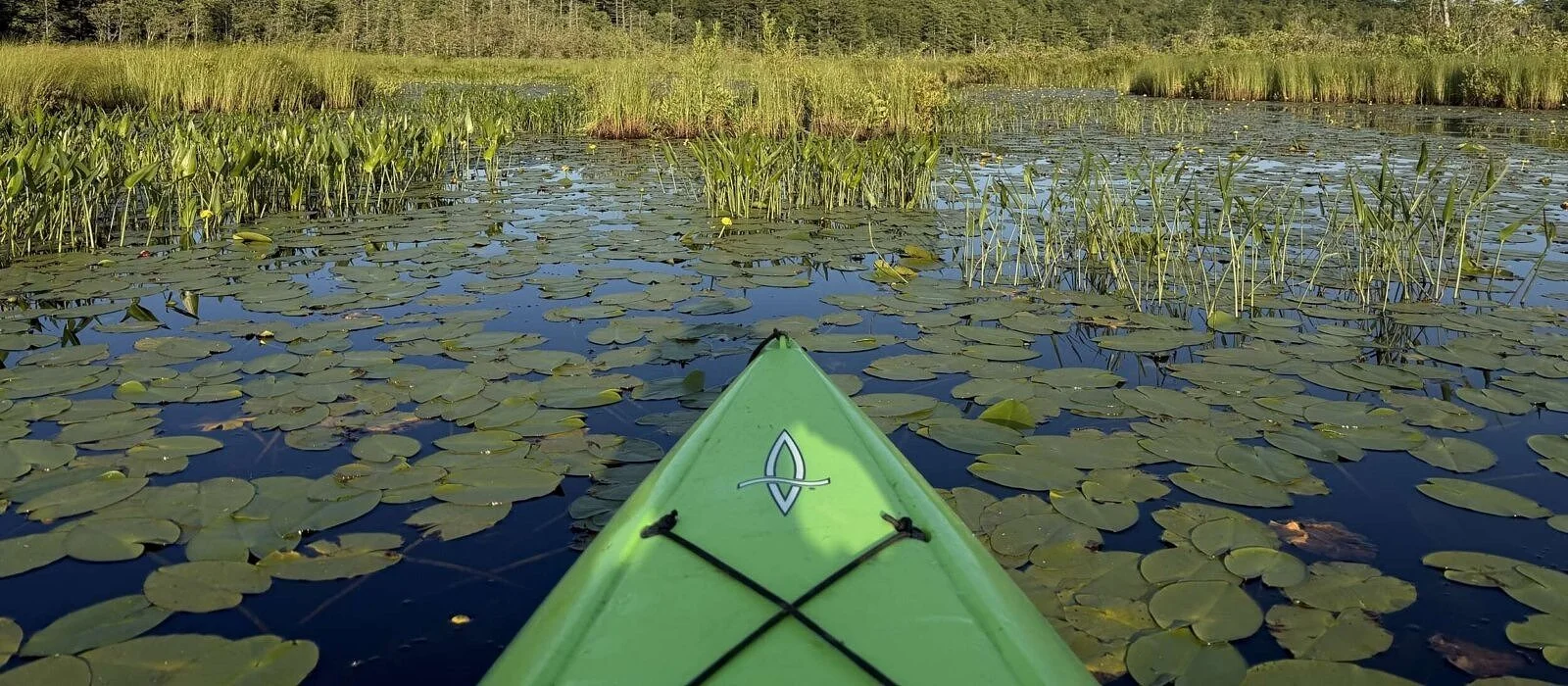 Summer paddling is about savoring the present
