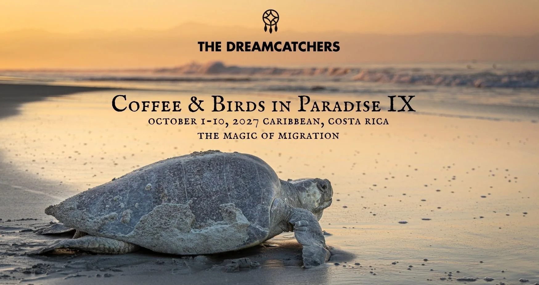 Coffee & Birds in Paradise IX