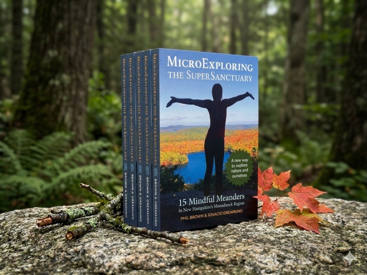 MicroExploring the SuperSanctuary