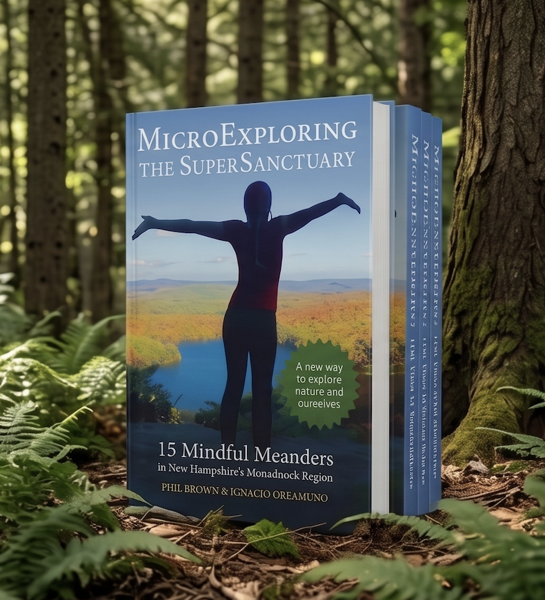 MicroExploring the SuperSanctuary