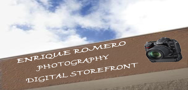 ERP Storefront_edited-1.png