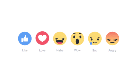 Facebook Reactions Data Your Feed Algorithms Dm Social Solutions