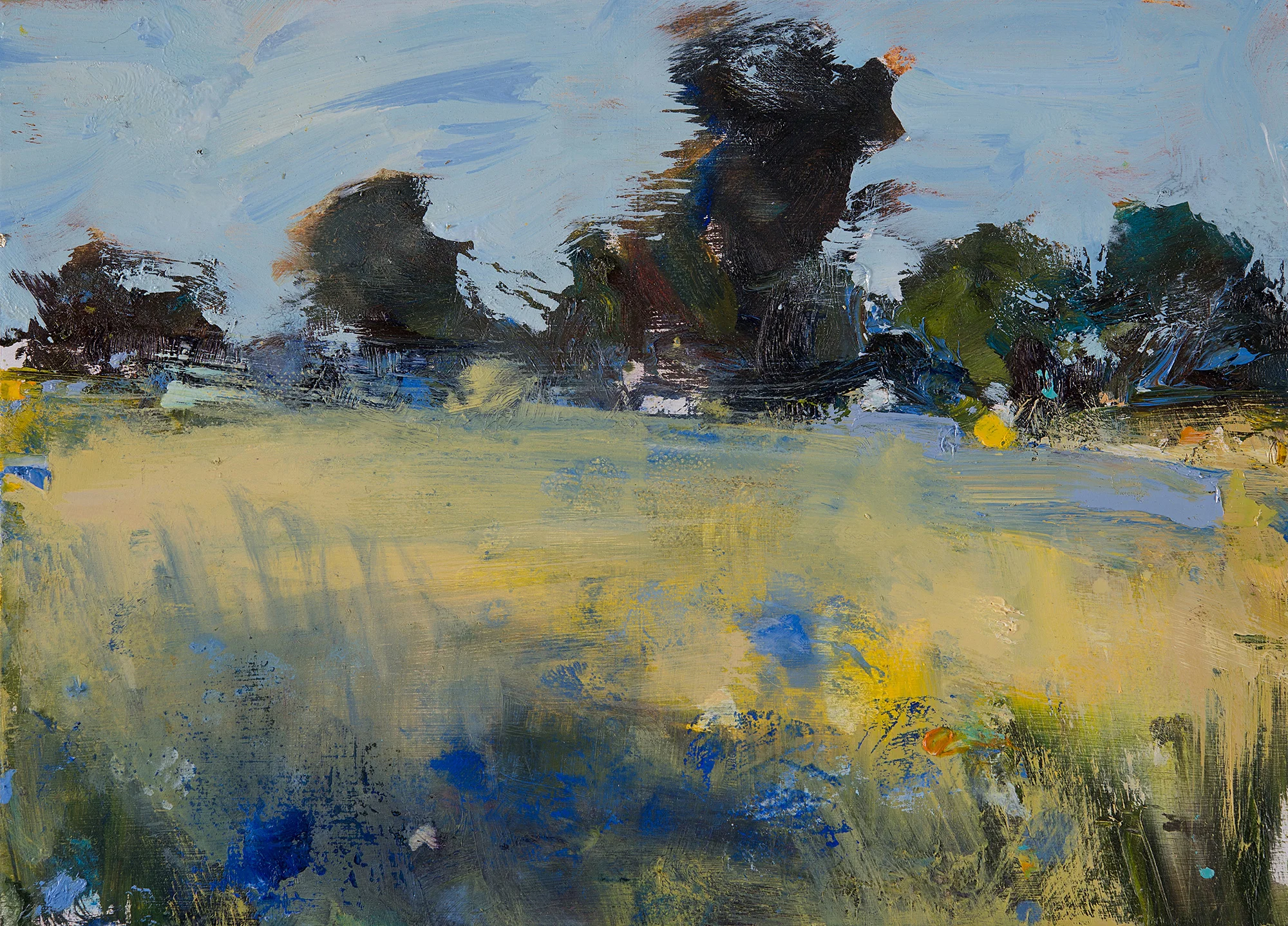 Cornflowers. Oil on board. 22 x 31cm Sold