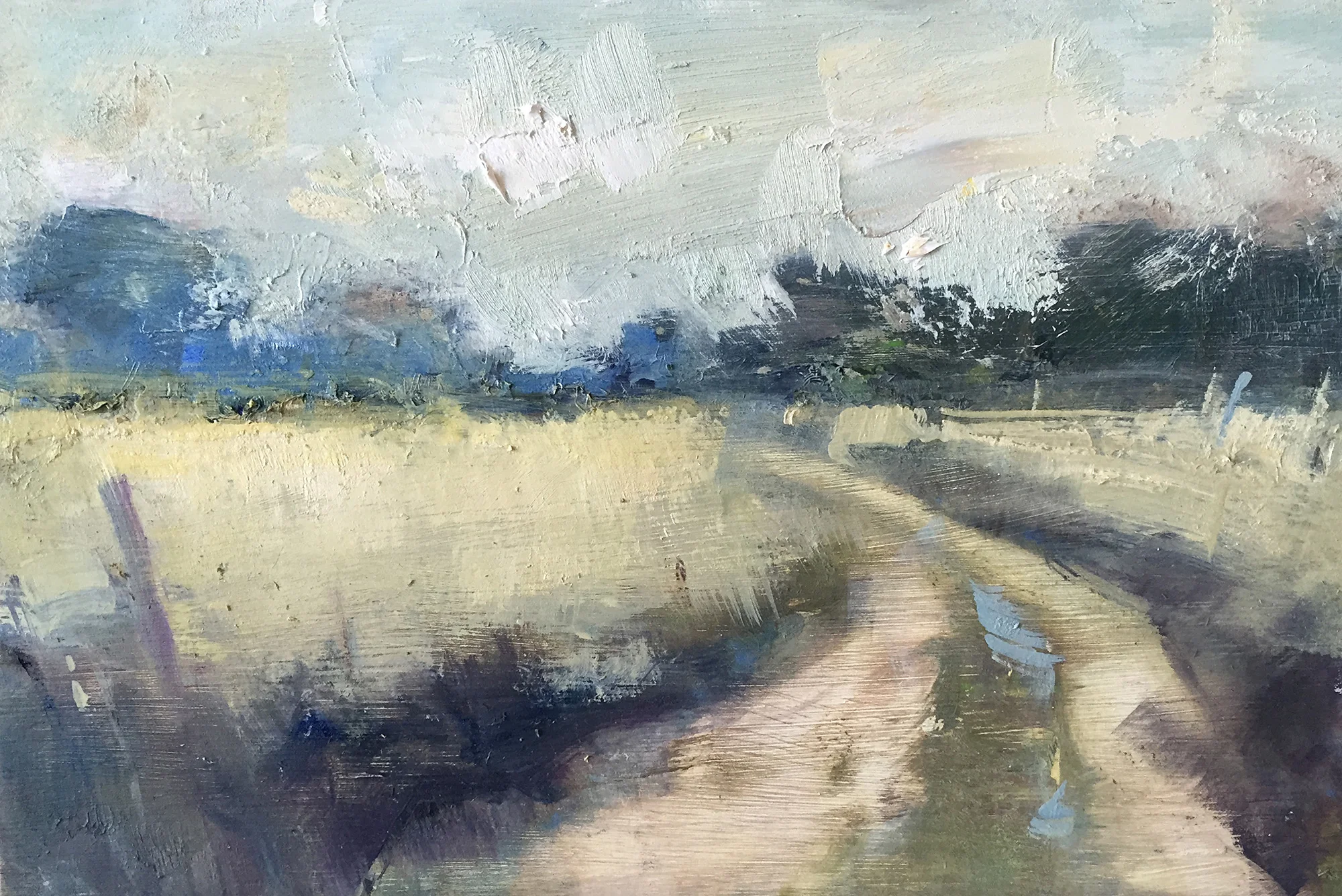 Cornish Footpath. Oil on board. 20 x 30cm. Sold