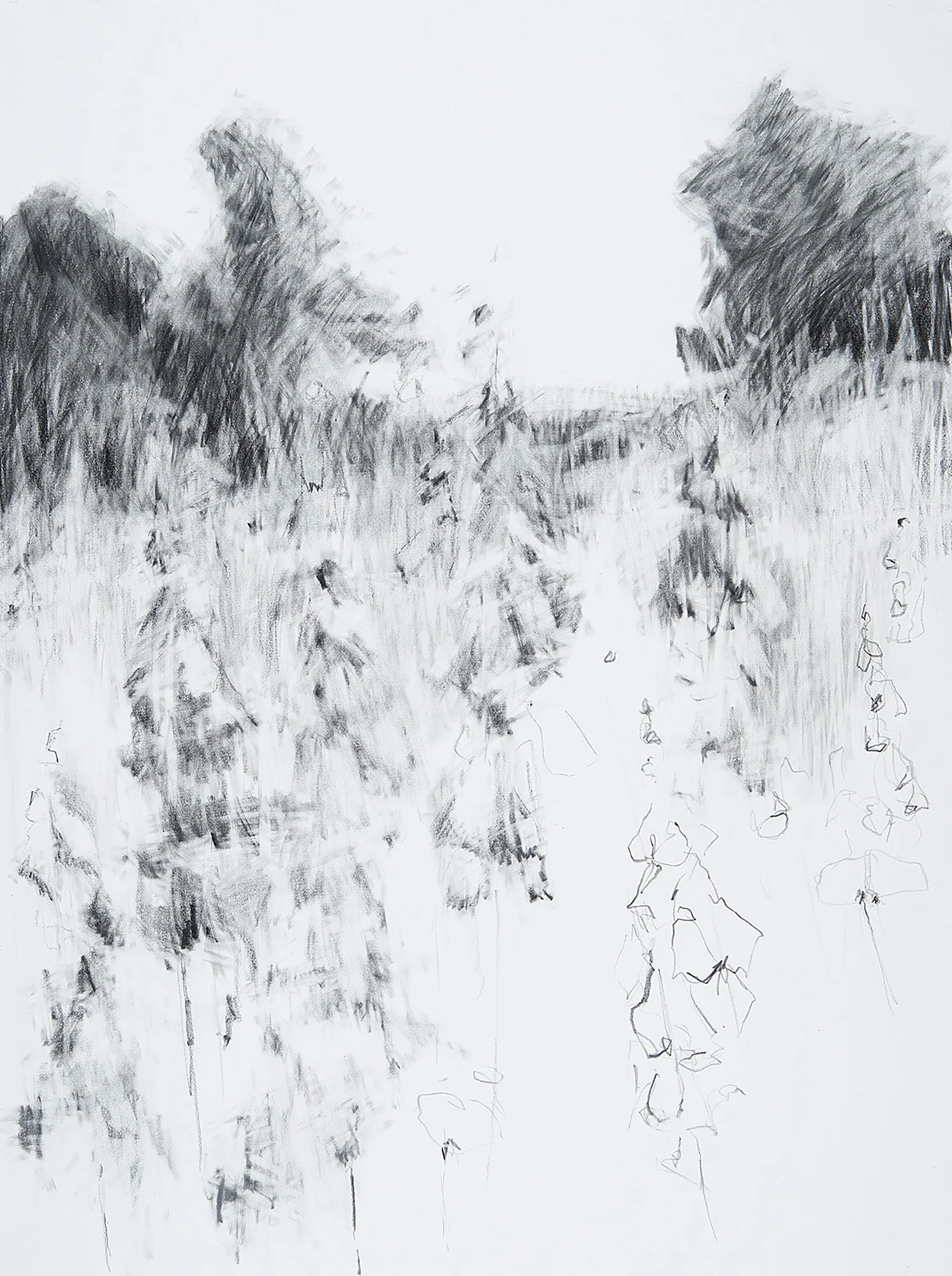 Foxgloves, Kestle Barton. Graphite on paper. 77 x 57cm Sold
