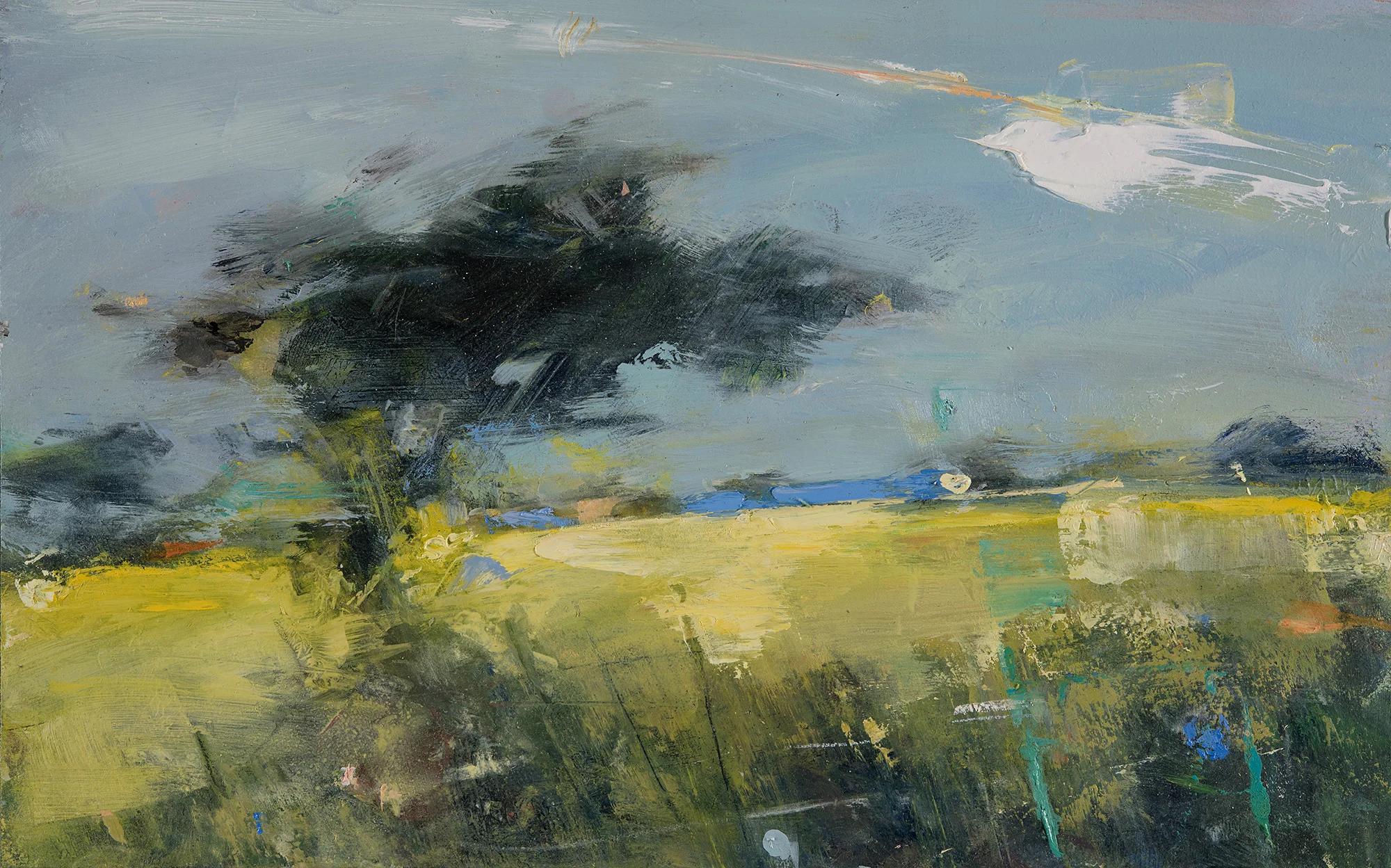 Study for Spring. Oil on board. 25 x 35cm. Sold