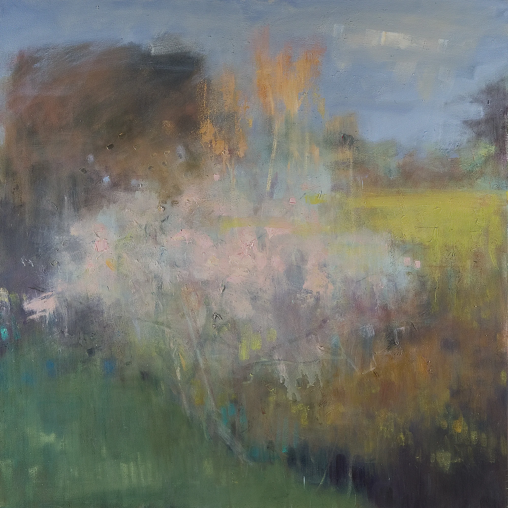 Spring Blossom, Caerhays. Oil on canvas. 122 x 122cm. NFS