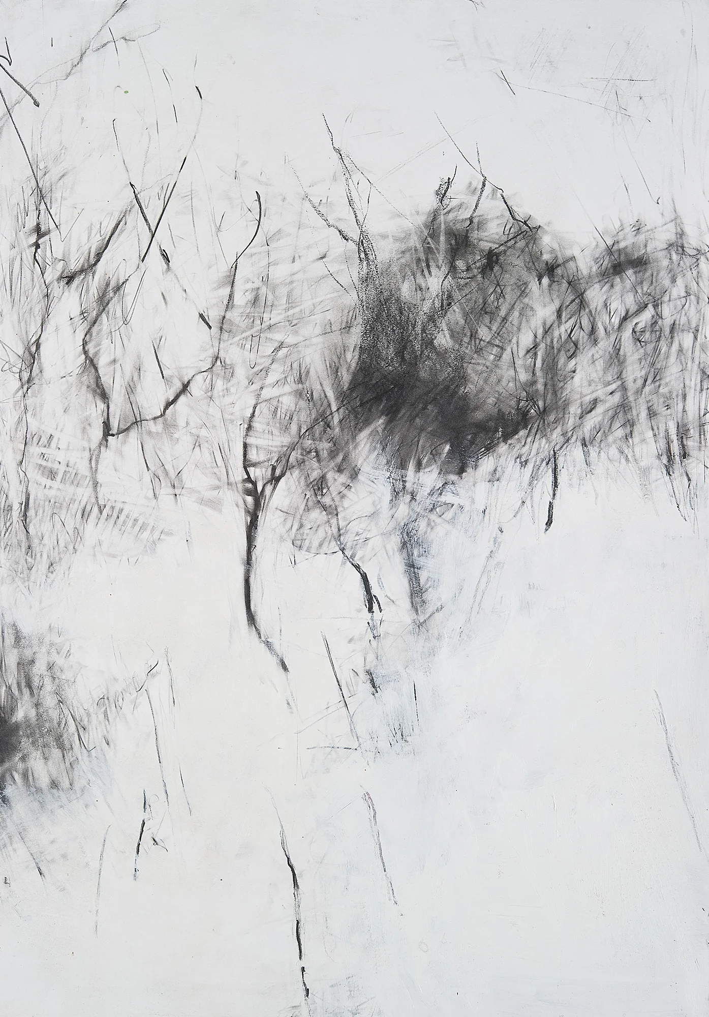 Winter Trees, Snow in the Garden. Graphite and gesso on paper. 71 x 50cm. NFS