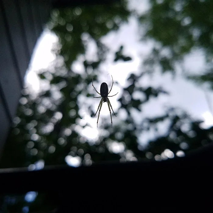 20170704_162725.jpg