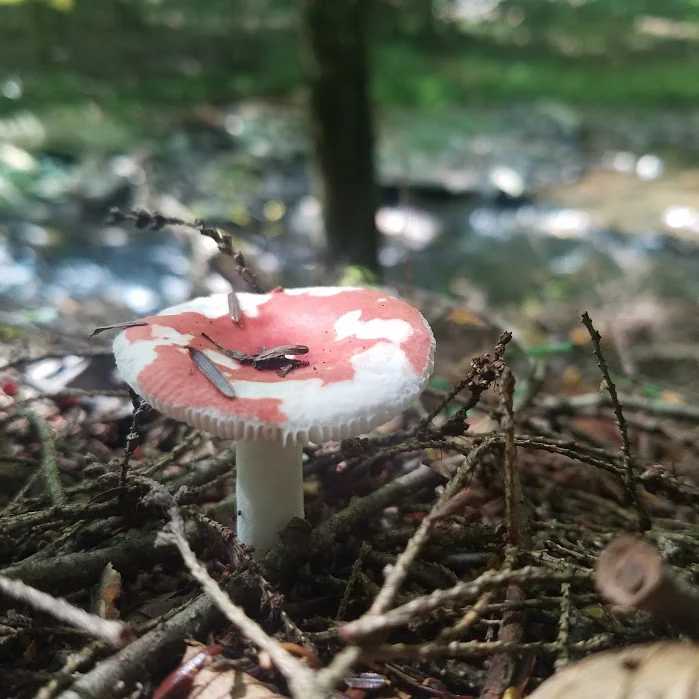 20170916_121449.jpg