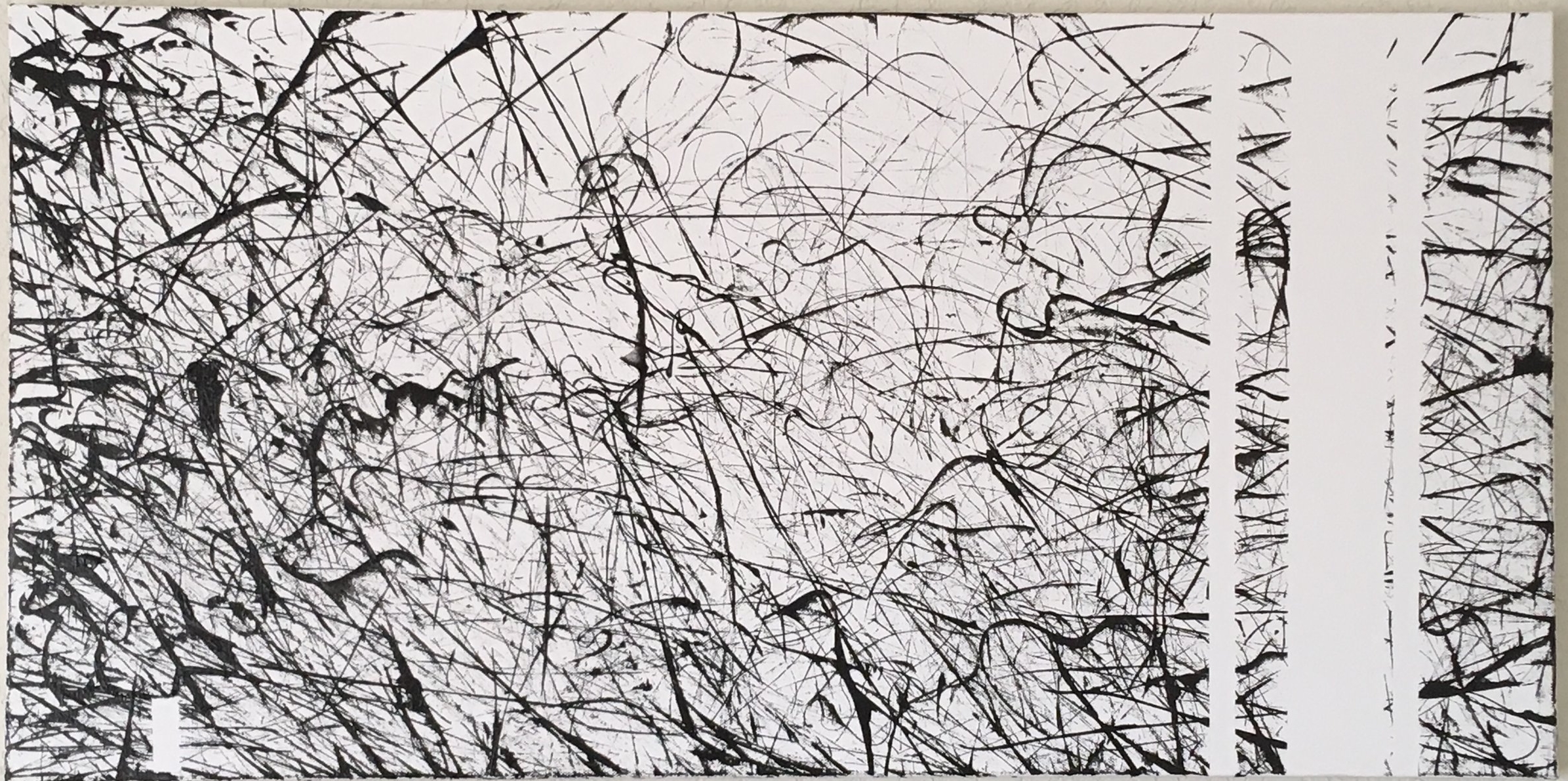 PT001: Mixed Acrylic and single strand of hair